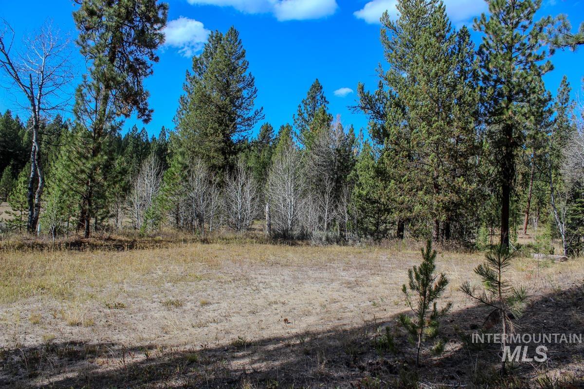 110 Warner Drive, Cascade, Idaho 83611, Land For Sale, Price $285,000, 98925331