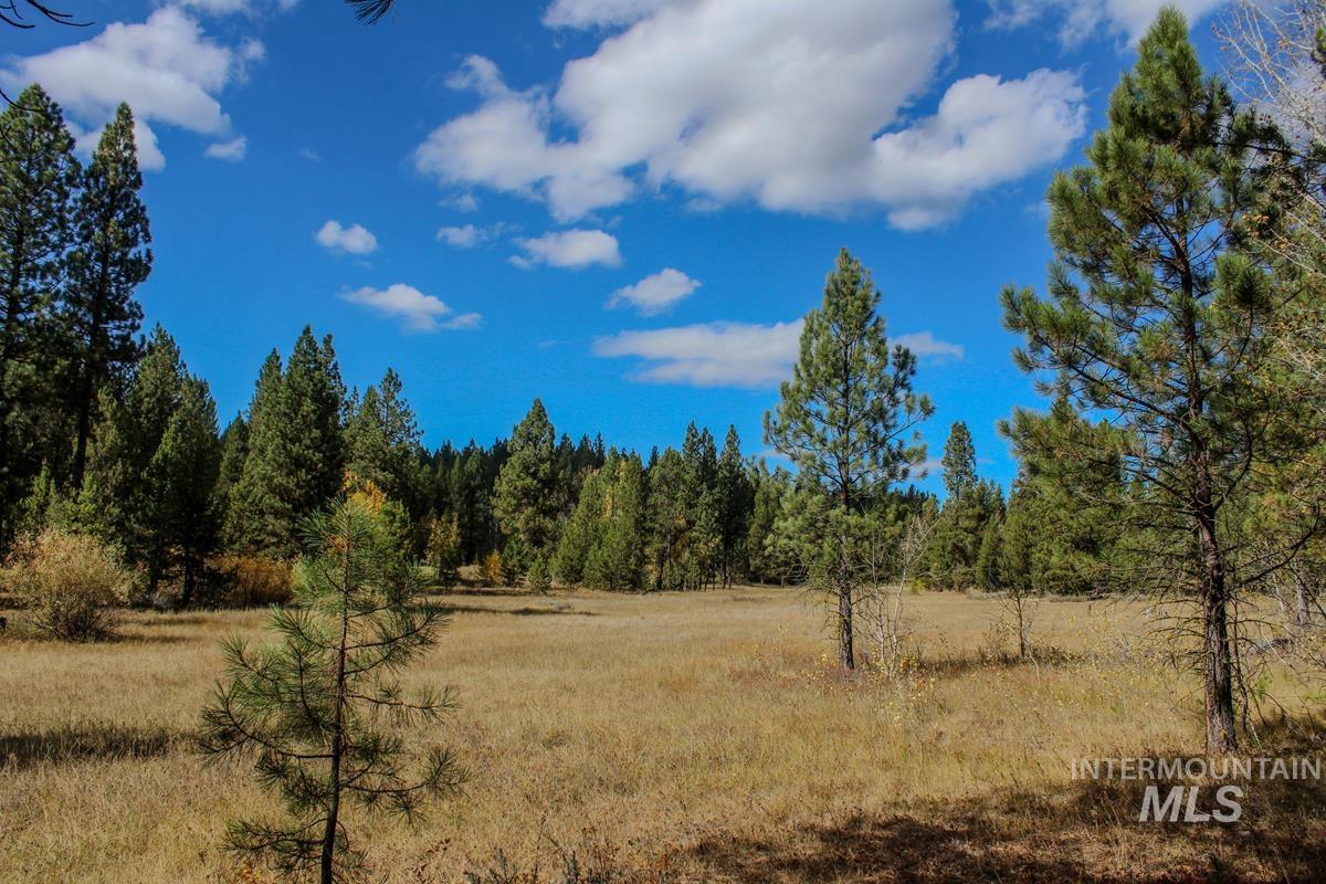 110 Warner Drive, Cascade, Idaho 83611, Land For Sale, Price $285,000, 98925331