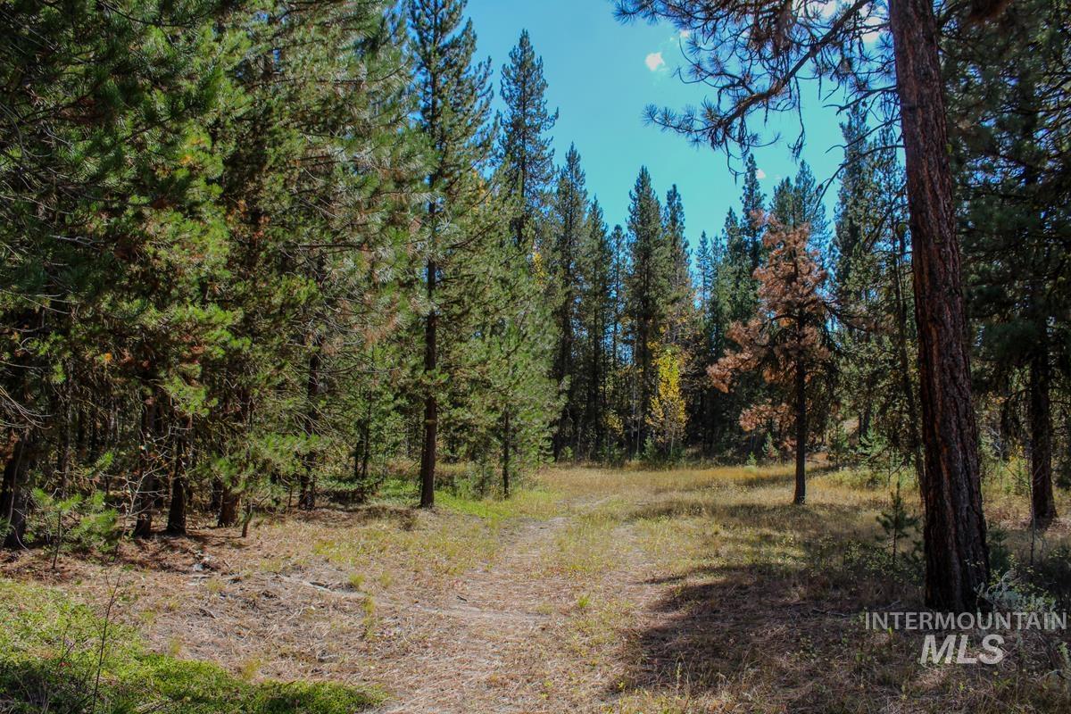 110 Warner Drive, Cascade, Idaho 83611, Land For Sale, Price $285,000, 98925331