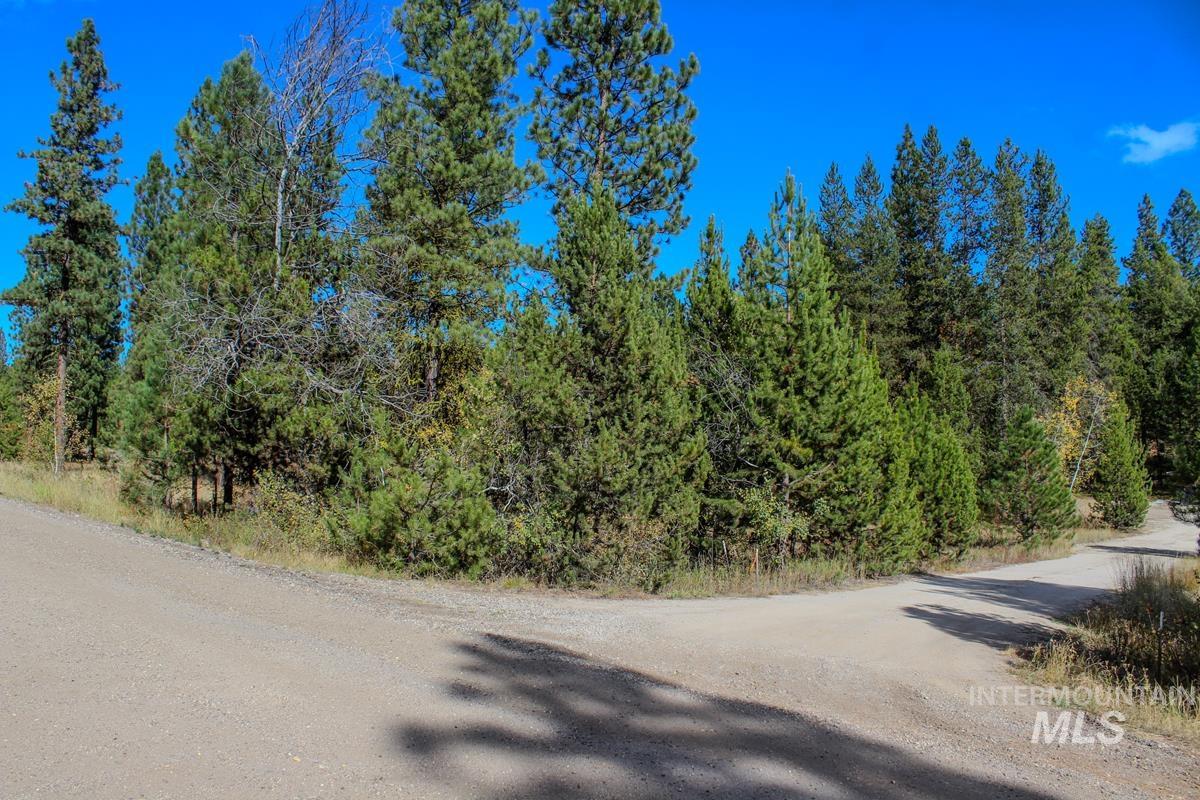 110 Warner Drive, Cascade, Idaho 83611, Land For Sale, Price $285,000, 98925331
