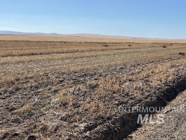 TBD Peola Road (Parcel 1), Clarkston, Washington 99403, Land For Sale, Price $300,000,MLS 98925514