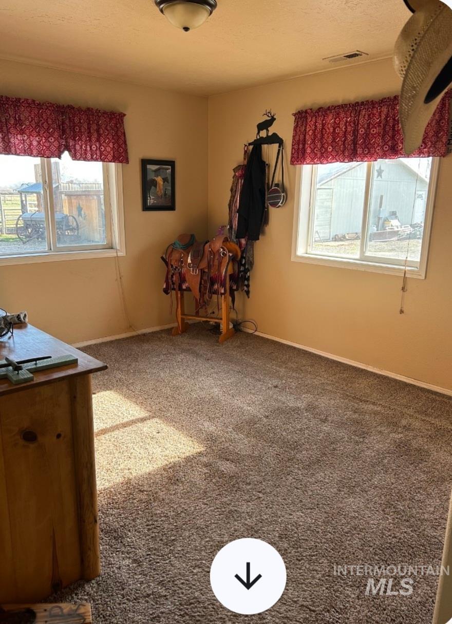Bedroom featuring carpet, multiple windows, and a textured ceiling