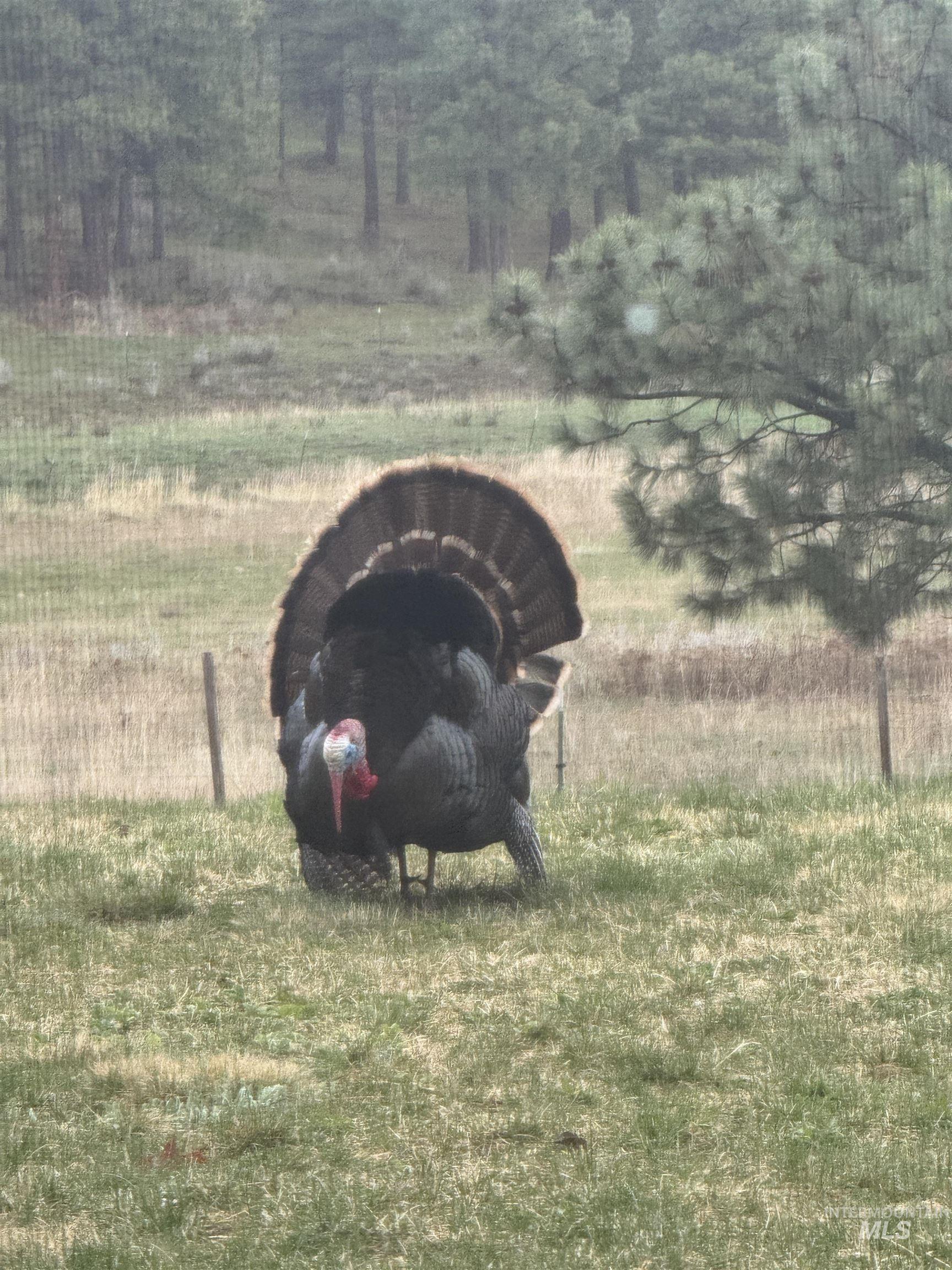 62924 Wolf Creek Ln, North Powder, Oregon 97867, 5 Bedrooms, 4 Bathrooms, Farm & Ranch For Sale, Price $4,700,000,MLS 98925704