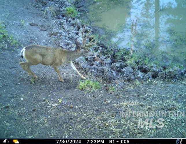 62924 Wolf Creek Ln, North Powder, Oregon 97867, 5 Bedrooms, 4 Bathrooms, Farm & Ranch For Sale, Price $4,700,000,MLS 98925704