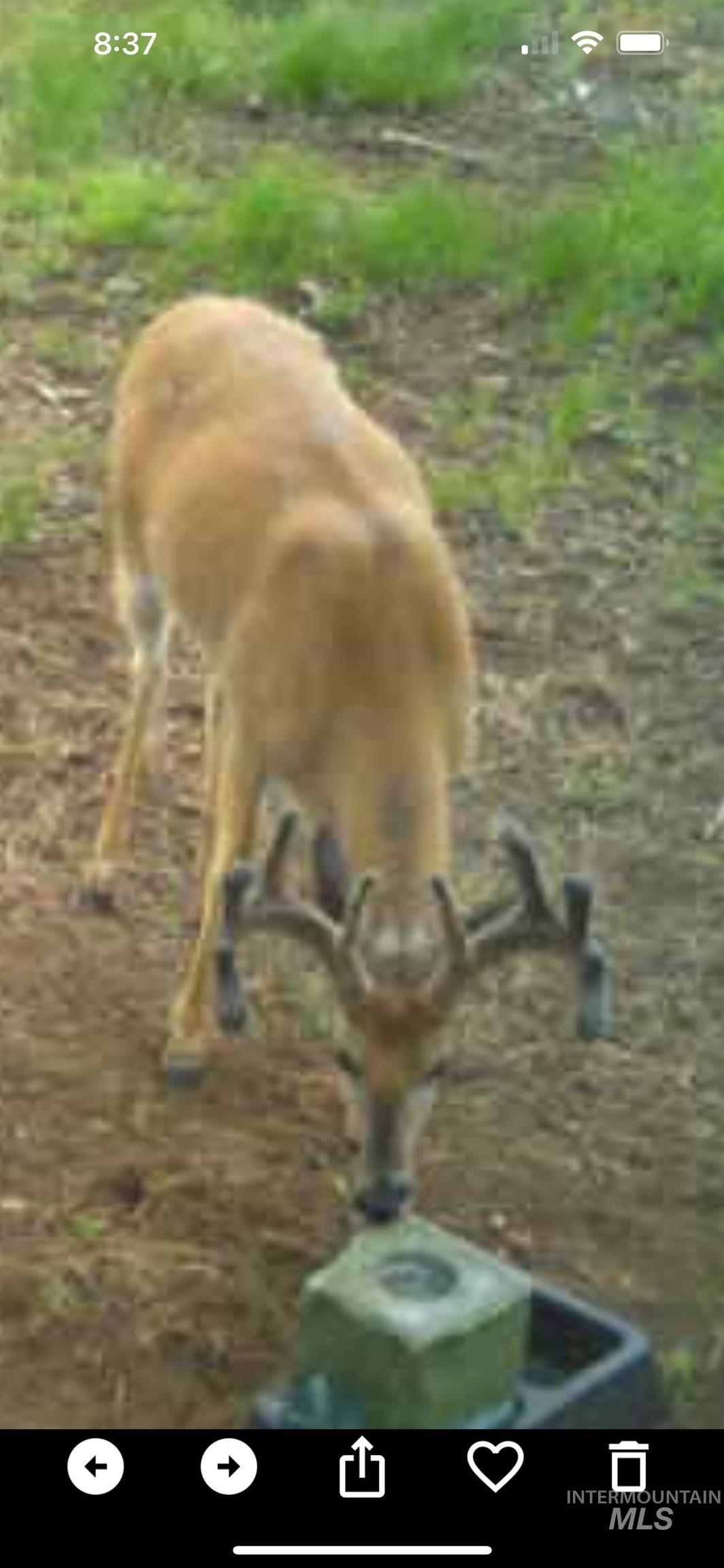 62924 Wolf Creek Ln, North Powder, Oregon 97867, 5 Bedrooms, 4 Bathrooms, Farm & Ranch For Sale, Price $4,700,000,MLS 98925704