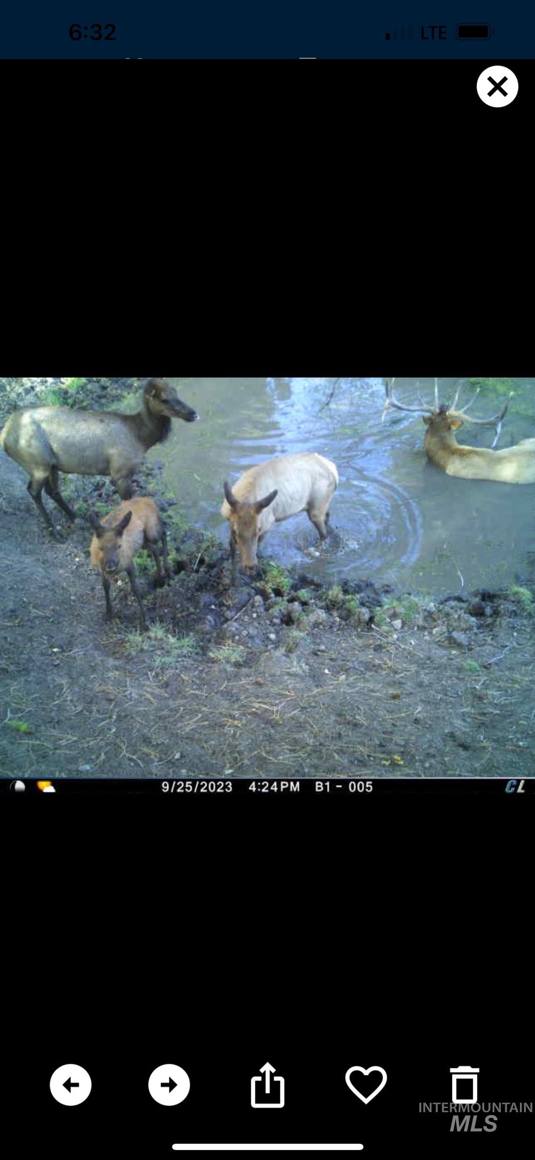 62924 Wolf Creek Ln, North Powder, Oregon 97867, 5 Bedrooms, 4 Bathrooms, Farm & Ranch For Sale, Price $4,700,000,MLS 98925704