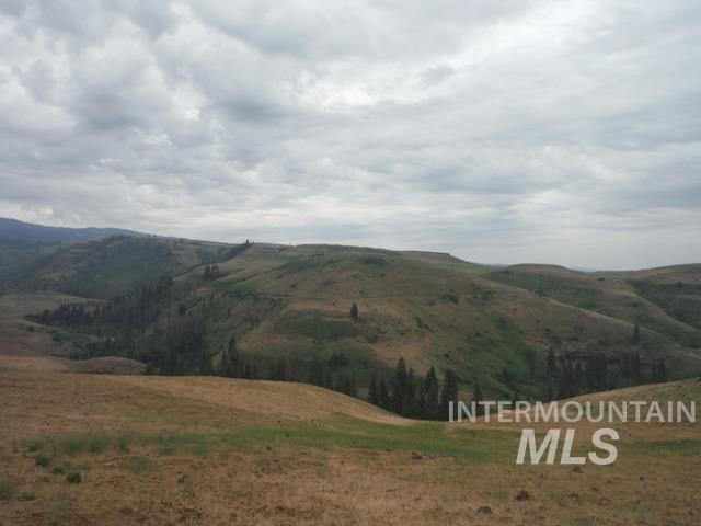 LOT 4 Middle Fork Rd, Council, Idaho 83612, Land For Sale, Price $499,000, 98926931