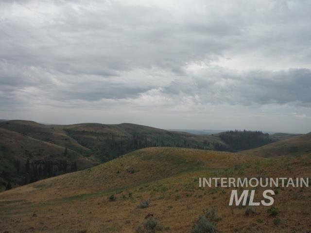 LOT 4 Middle Fork Rd, Council, Idaho 83612, Land For Sale, Price $499,000, 98926931