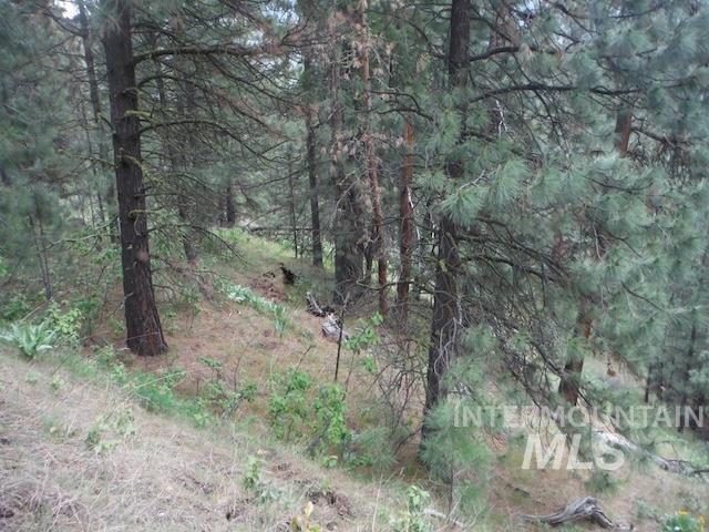 TBD Lot 4 Wilderness Ridge, Boise, Idaho 83716, Land For Sale, Price $200,000,MLS 98927187