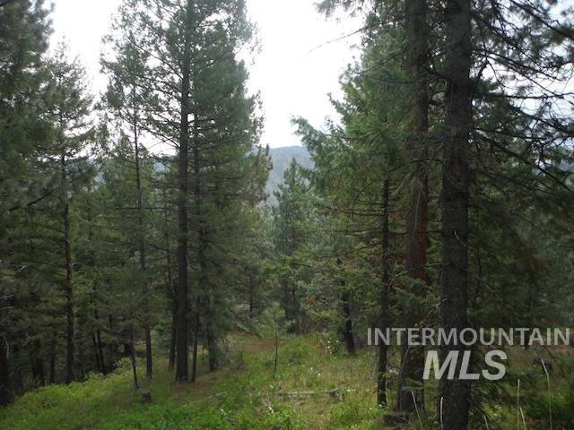 TBD Lot 4 Wilderness Ridge, Boise, Idaho 83716, Land For Sale, Price $200,000,MLS 98927187