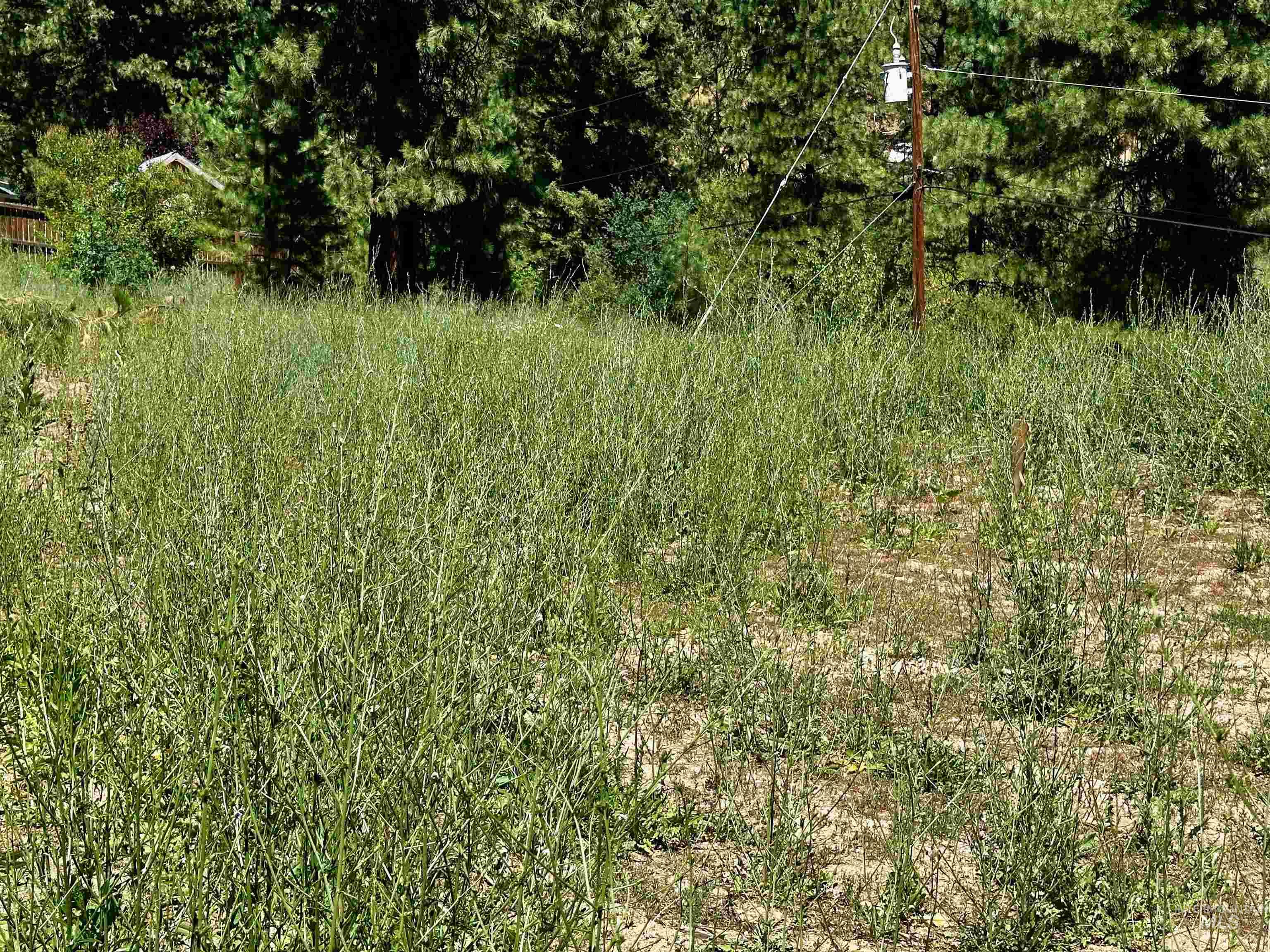 37 Timberline Rd, Boise, Idaho 83716, Land For Sale, Price $175,000,MLS 98927250