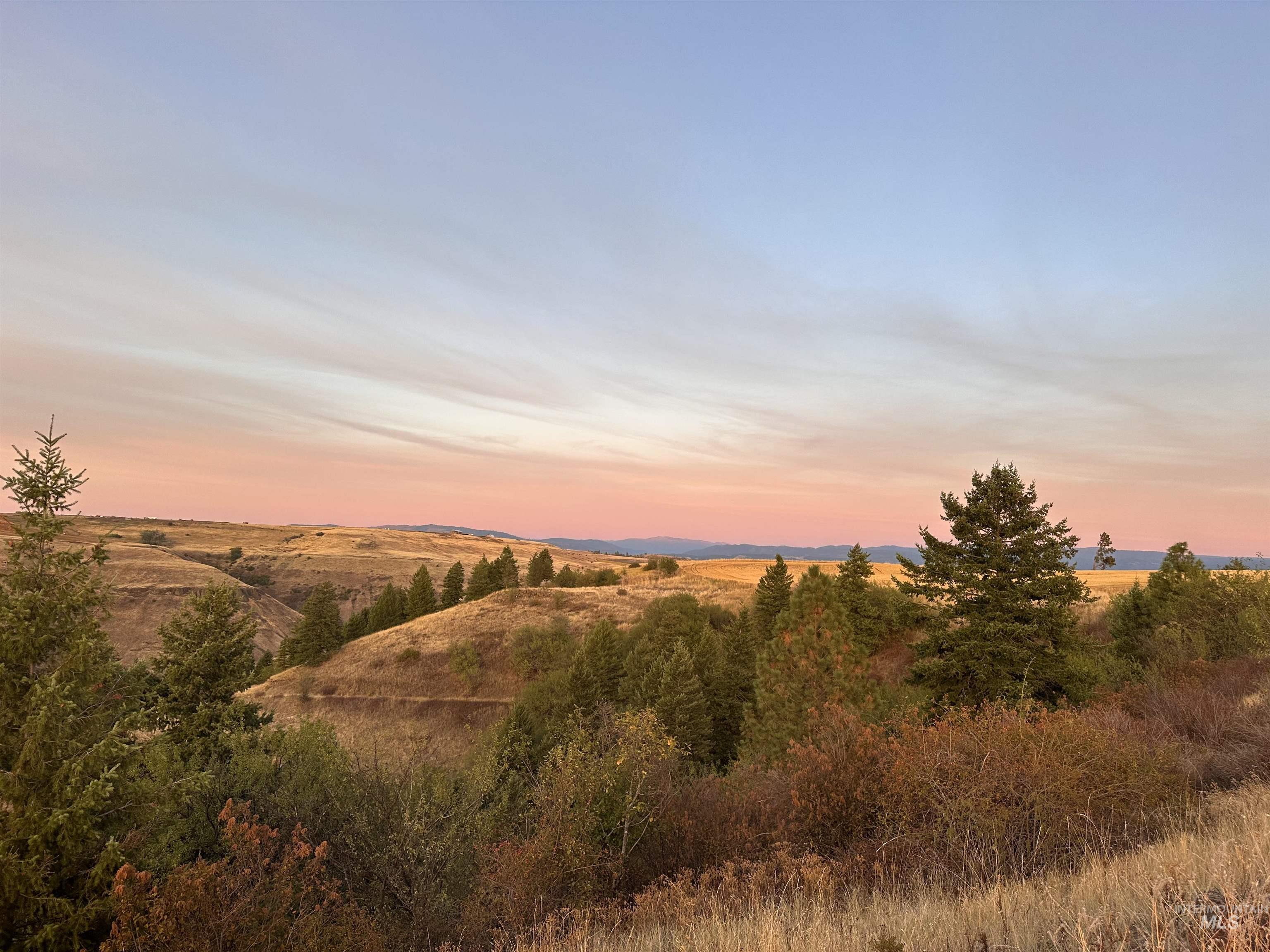 105 Scotlyn Ranch Rd, Kamiah, Idaho 83536, 6 Bedrooms, 8 Bathrooms, Farm & Ranch For Sale, Price $3,995,000,MLS 98927832