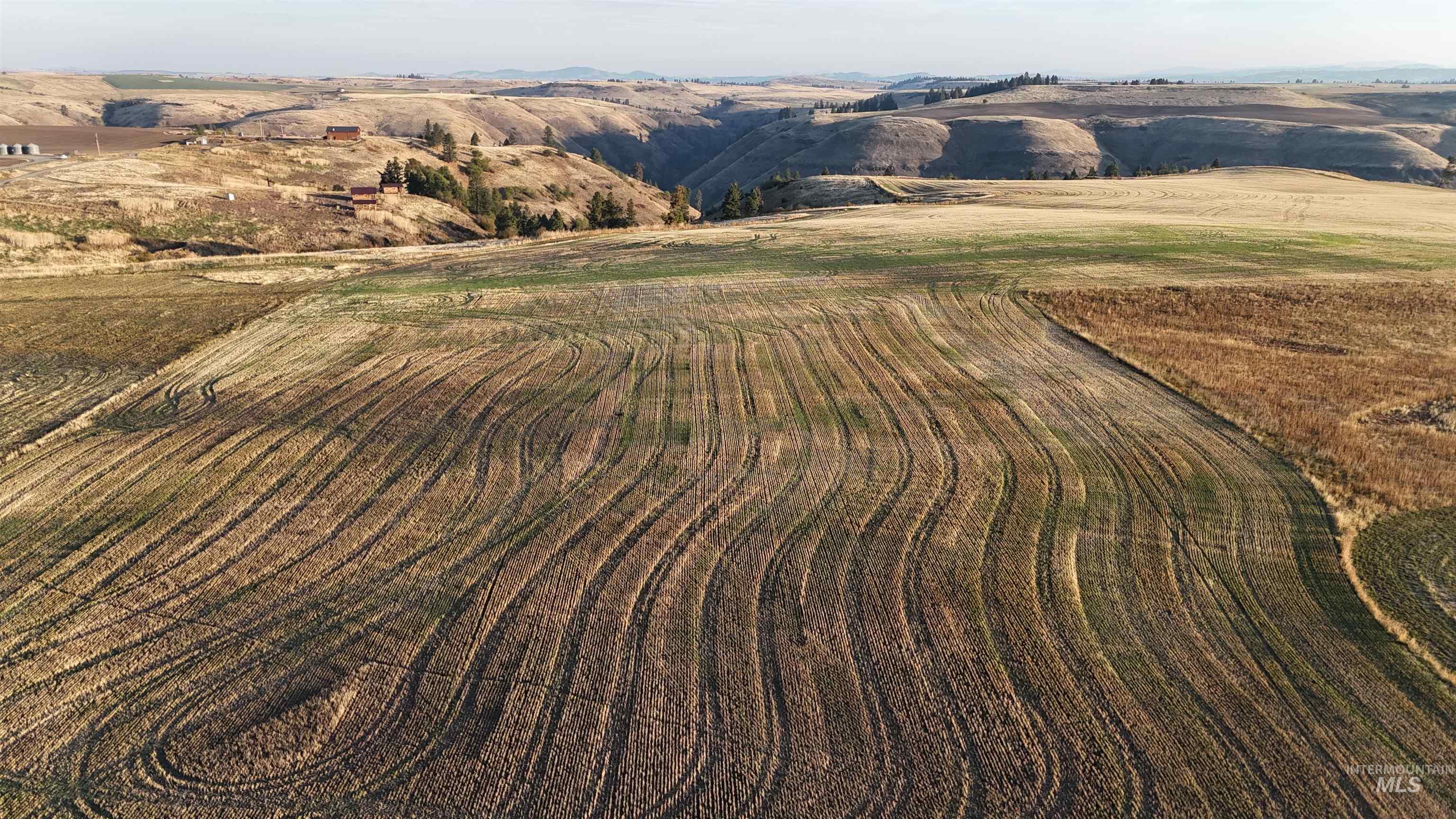 105 Scotlyn Ranch Rd, Kamiah, Idaho 83536, 6 Bedrooms, 8 Bathrooms, Farm & Ranch For Sale, Price $3,995,000,MLS 98927832