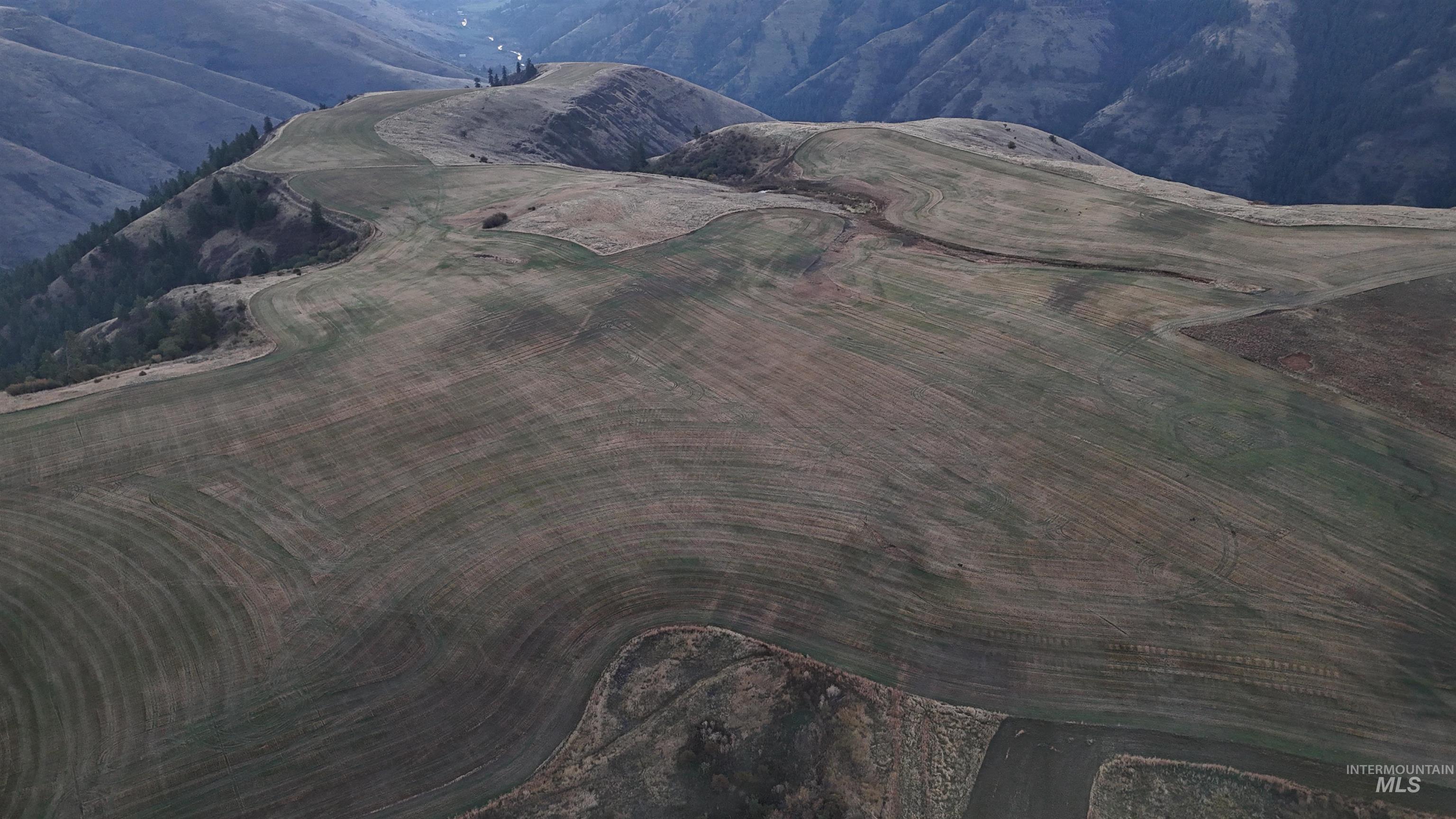 105 Scotlyn Ranch Rd, Kamiah, Idaho 83536, 6 Bedrooms, 8 Bathrooms, Farm & Ranch For Sale, Price $3,995,000,MLS 98927832