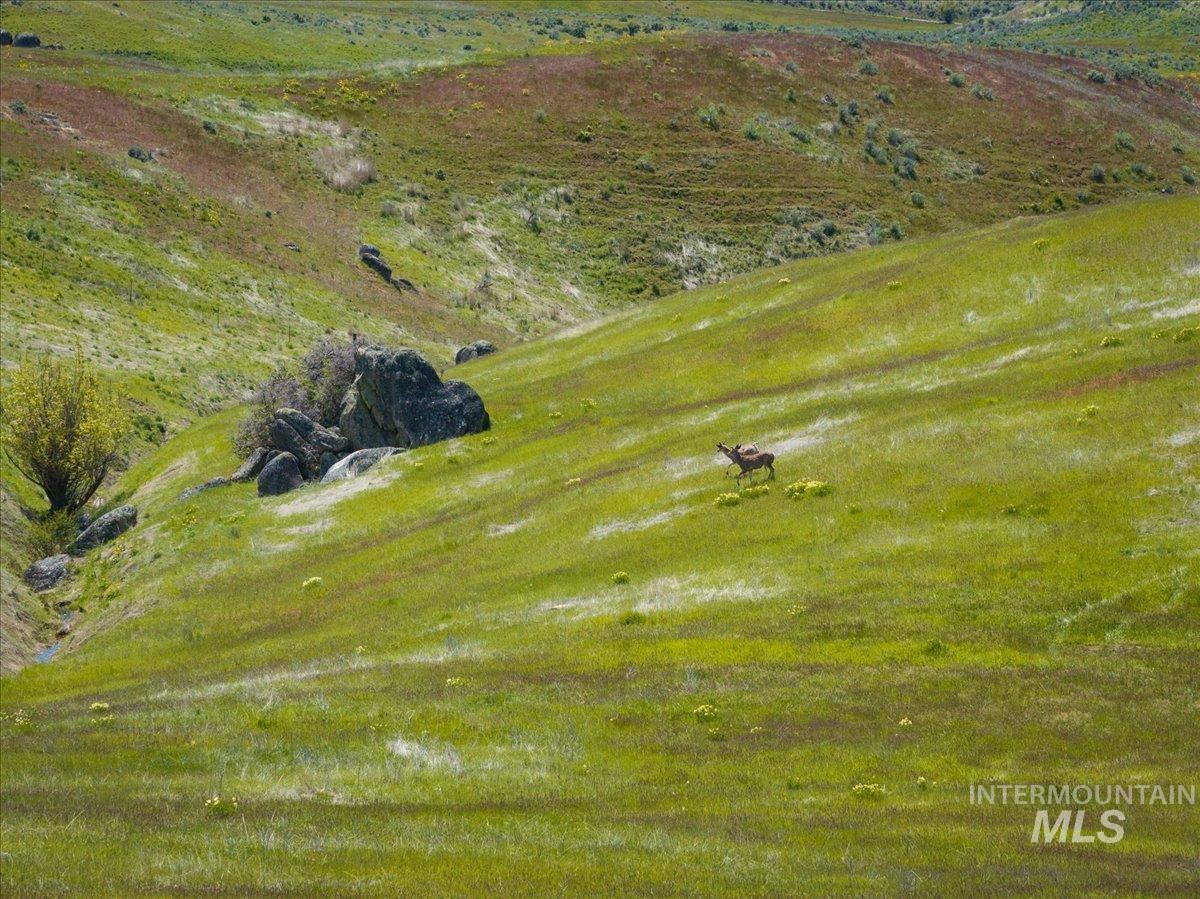 TBD 277 ac Timber Butte Rd, Sweet, Idaho 83670, Land For Sale, Price $1,700,000,MLS 98927874