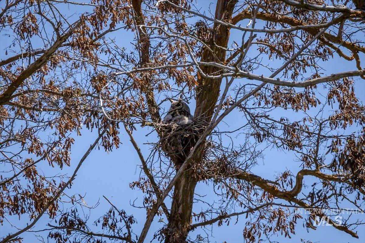 277 acres Timber Butte Rd, Sweet, Idaho 83670, Farm & Ranch For Sale, Price $1,700,000,MLS 98927880