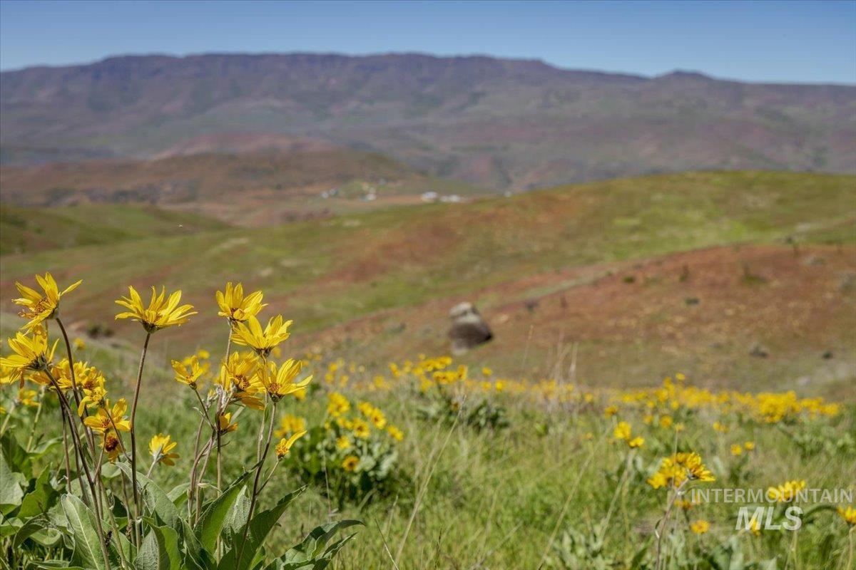 277 acres Timber Butte Rd, Sweet, Idaho 83670, Farm & Ranch For Sale, Price $1,700,000,MLS 98927880