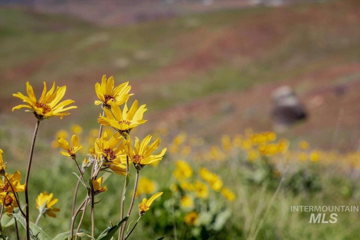 277 acres Timber Butte Rd, Sweet, Idaho 83670, Farm & Ranch For Sale, Price $1,700,000,MLS 98927880