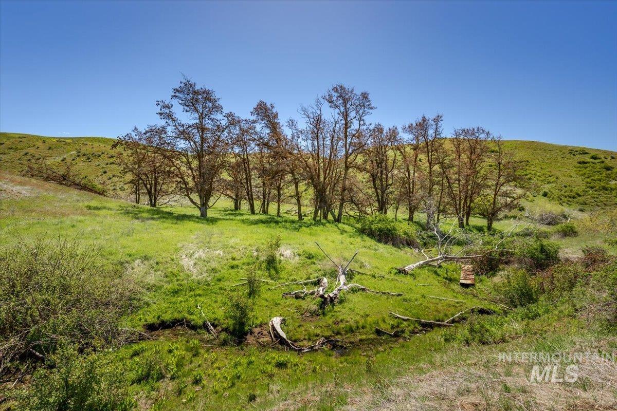 277 acres Timber Butte Rd, Sweet, Idaho 83670, Farm & Ranch For Sale, Price $1,700,000,MLS 98927880