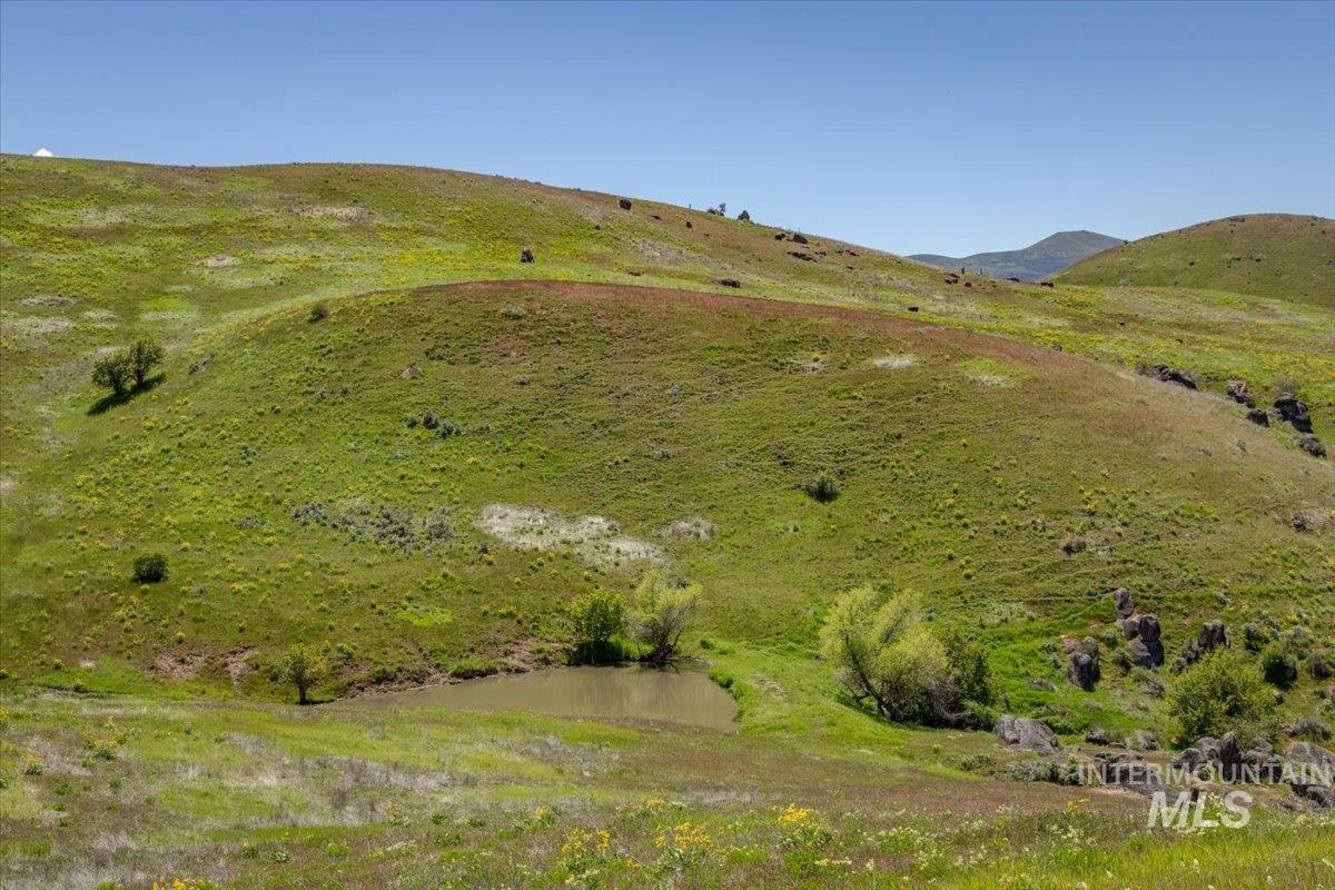 277 acres Timber Butte Rd, Sweet, Idaho 83670, Farm & Ranch For Sale, Price $1,700,000,MLS 98927880