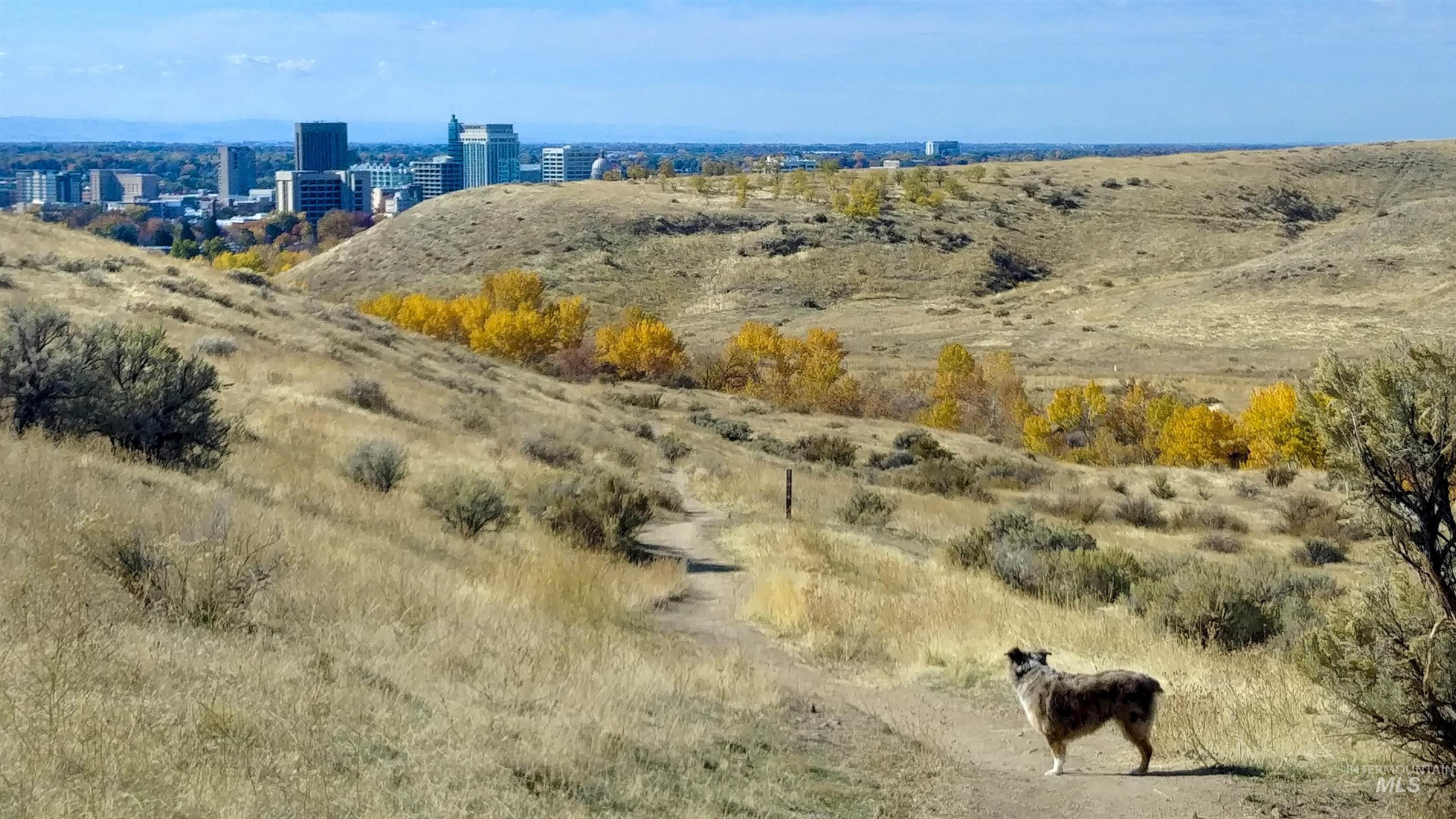 954 E Chardie Rd, Boise, Idaho 83702, Land For Sale, Price $299,000,MLS 98928750