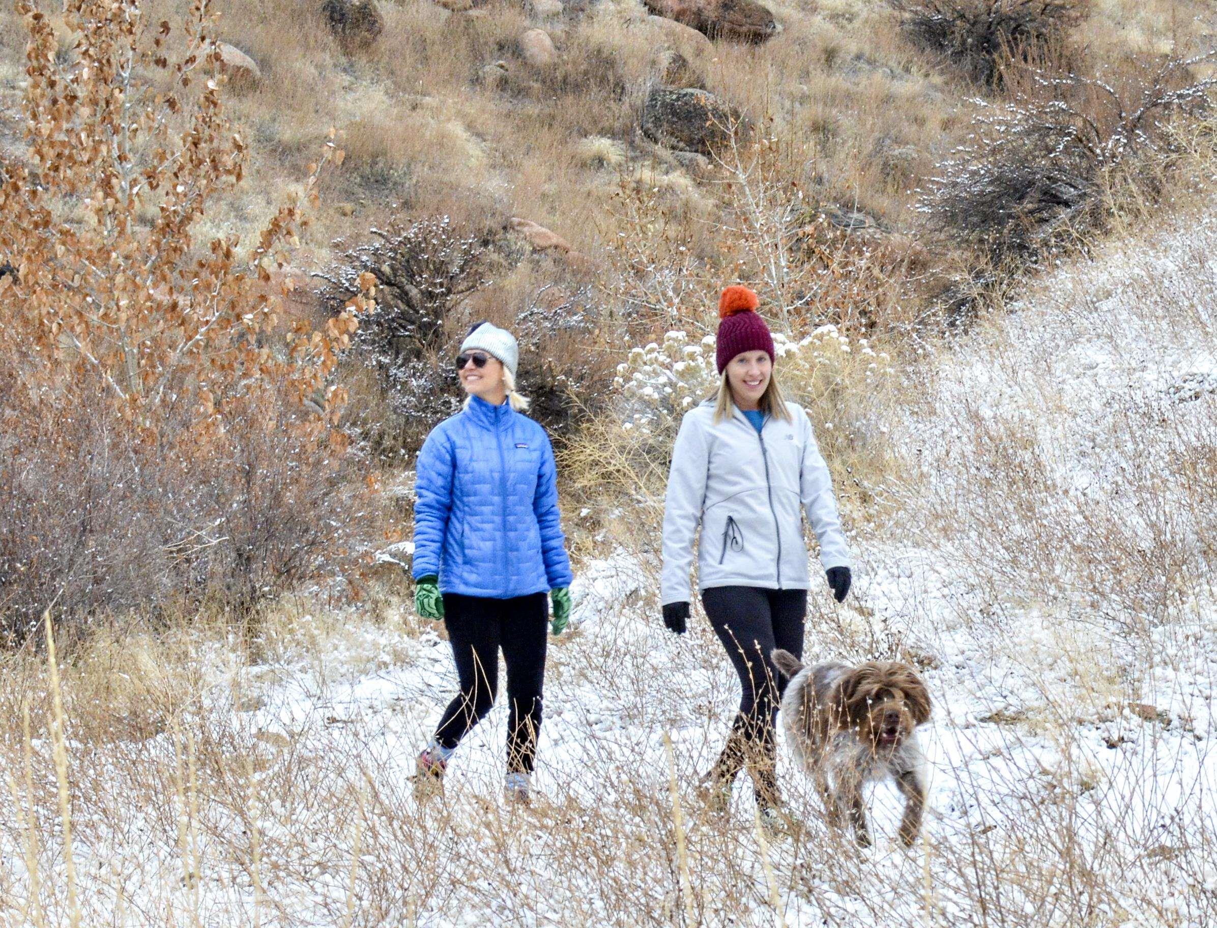 1036 E Chardie Rd, Boise, Idaho 83702, Land For Sale, Price $365,000,MLS 98928751