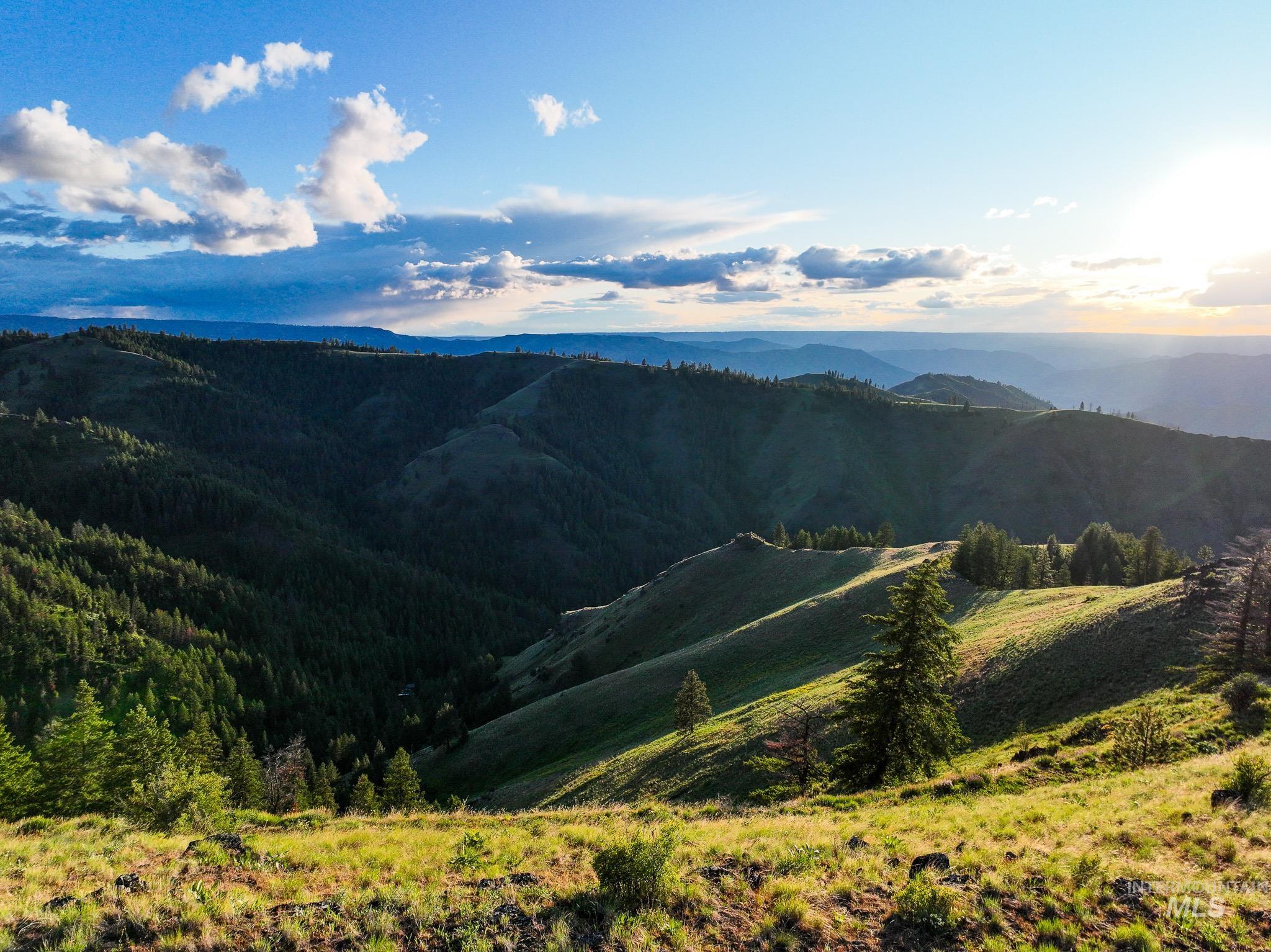 TBD High Range Road, White Bird, Idaho 83554, Land For Sale, Price $497,000,MLS 98929125