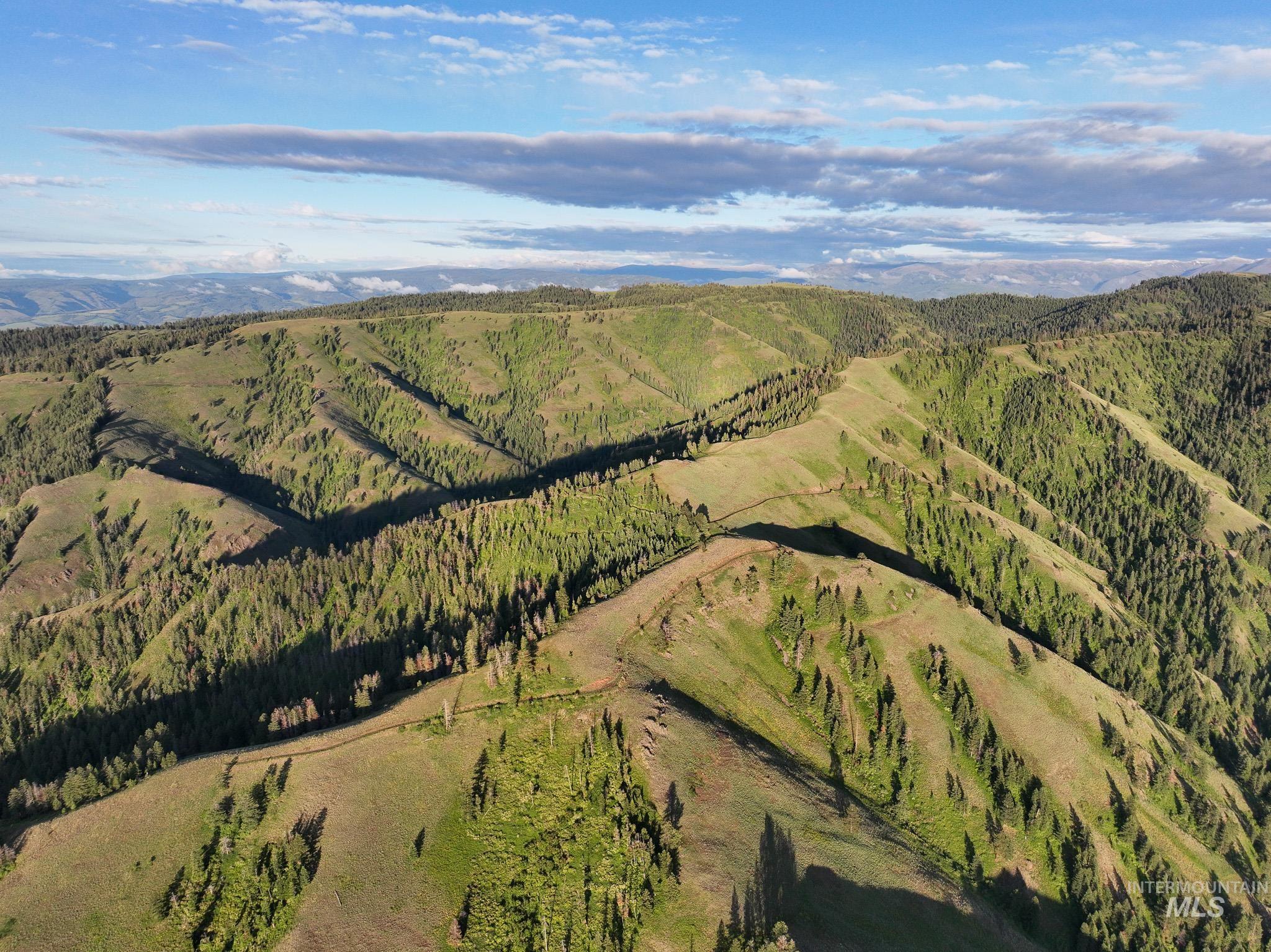 TBD High Range Road, White Bird, Idaho 83554, Land For Sale, Price $497,000,MLS 98929125