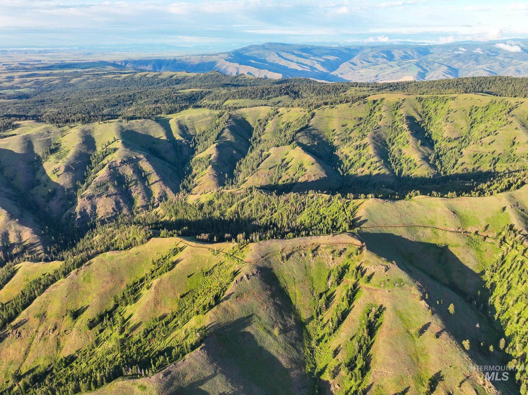 TBD High Range Road, White Bird, Idaho 83554, Land For Sale, Price $497,000,MLS 98929125