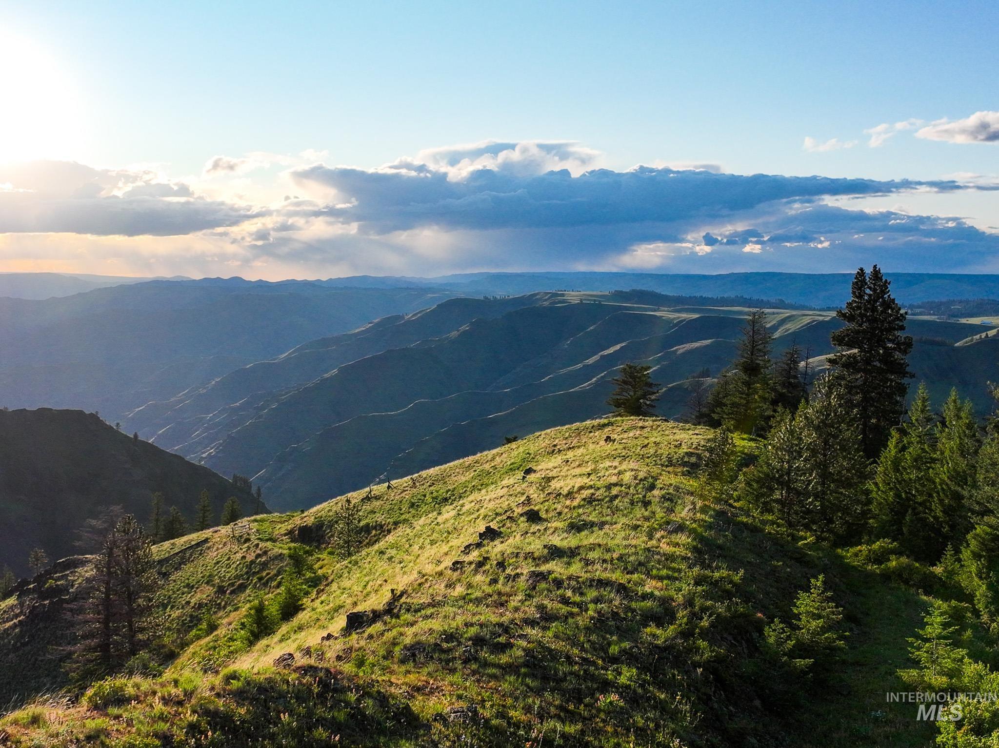 TBD High Range Road, White Bird, Idaho 83554, Land For Sale, Price $497,000,MLS 98929125