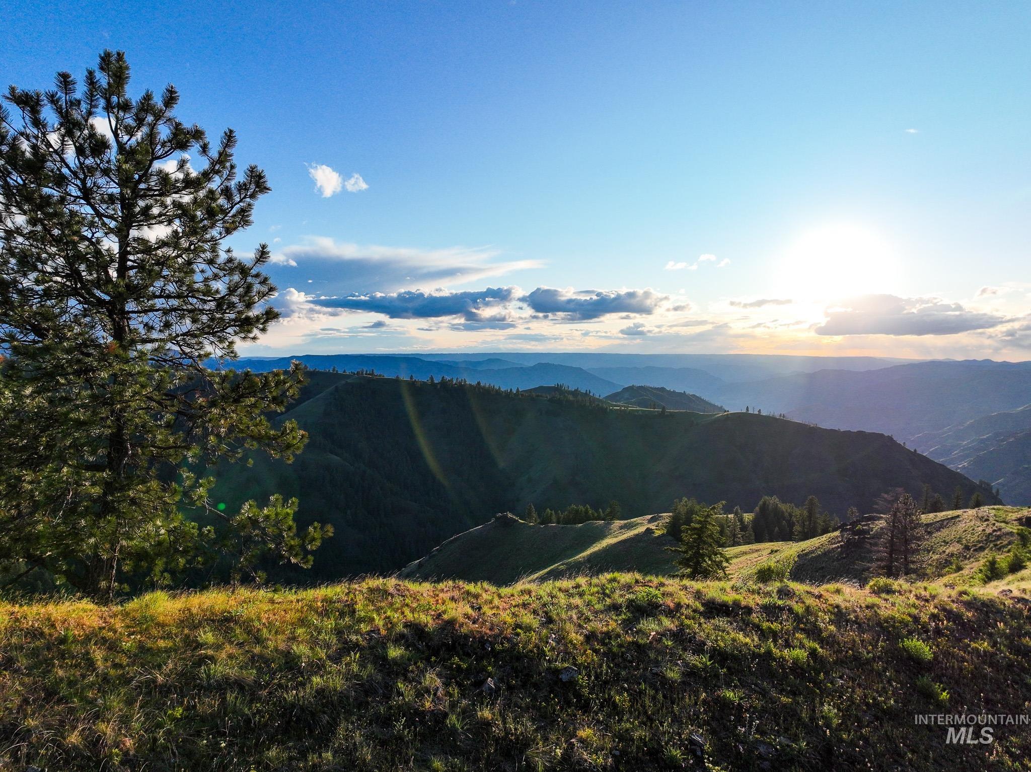 TBD High Range Road, White Bird, Idaho 83554, Land For Sale, Price $497,000,MLS 98929125