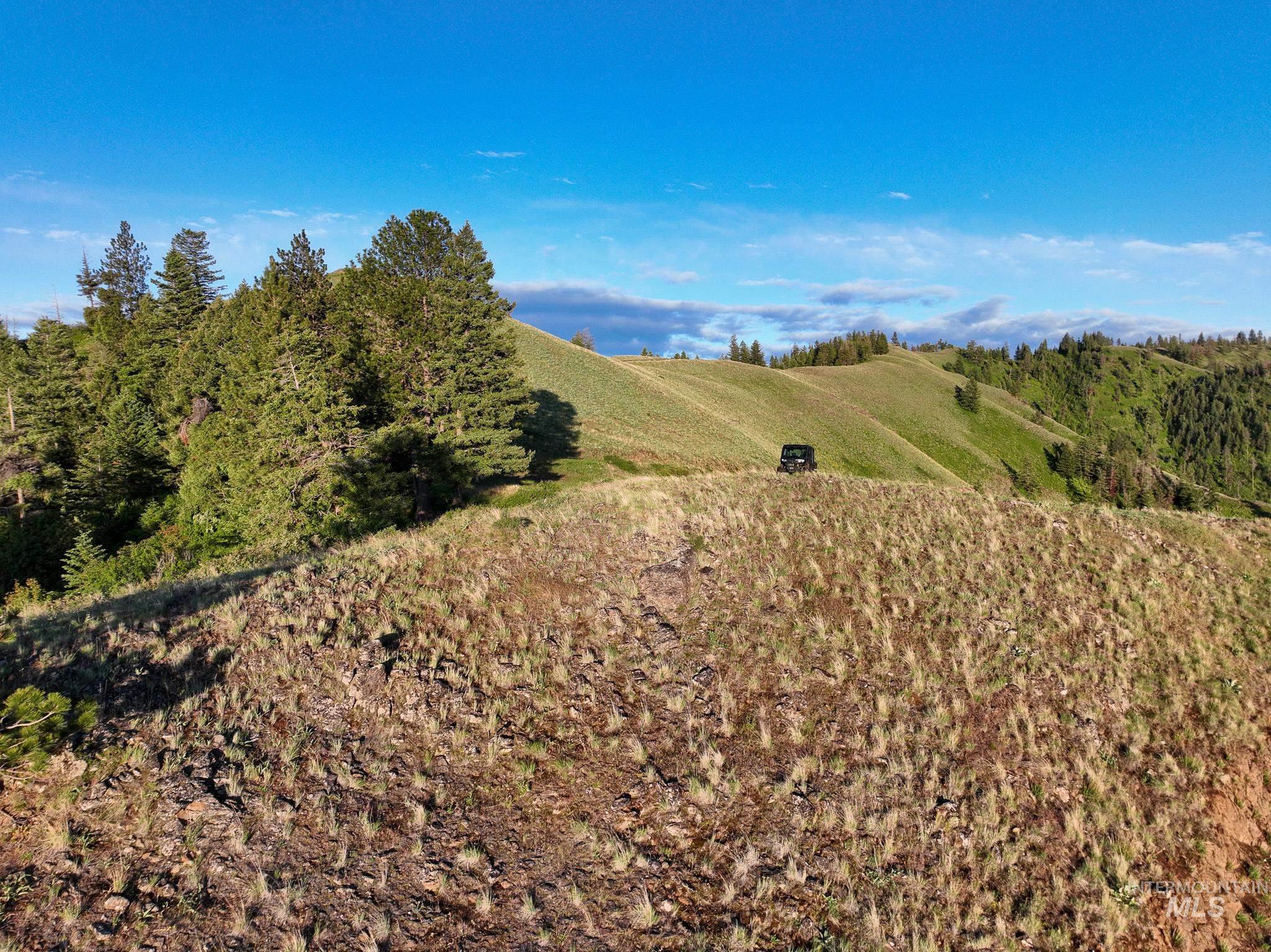 TBD High Range Road, White Bird, Idaho 83554, Land For Sale, Price $497,000,MLS 98929125