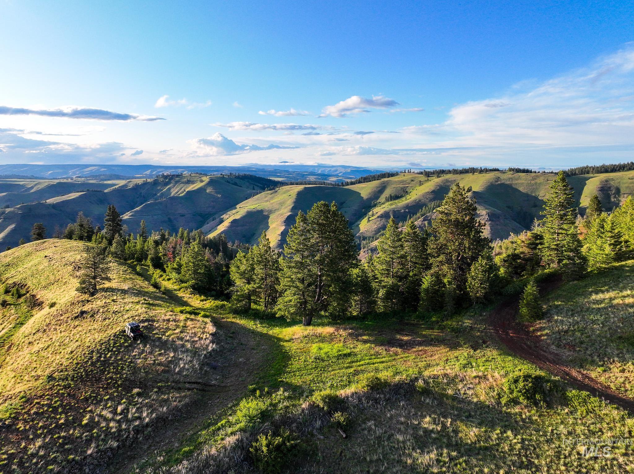 TBD High Range Road, White Bird, Idaho 83554, Land For Sale, Price $497,000,MLS 98929125