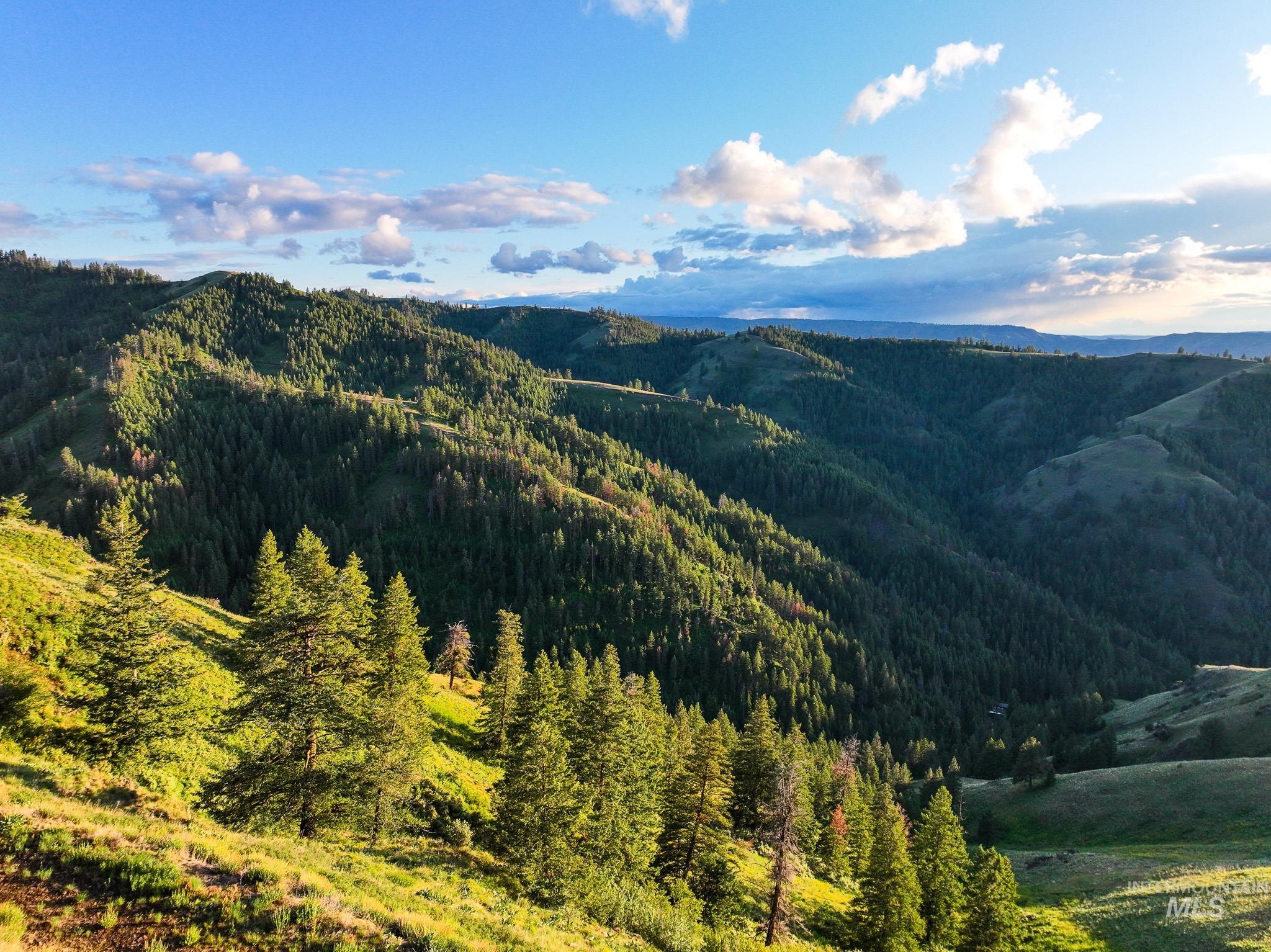 TBD High Range Road, White Bird, Idaho 83554, Land For Sale, Price $497,000,MLS 98929125