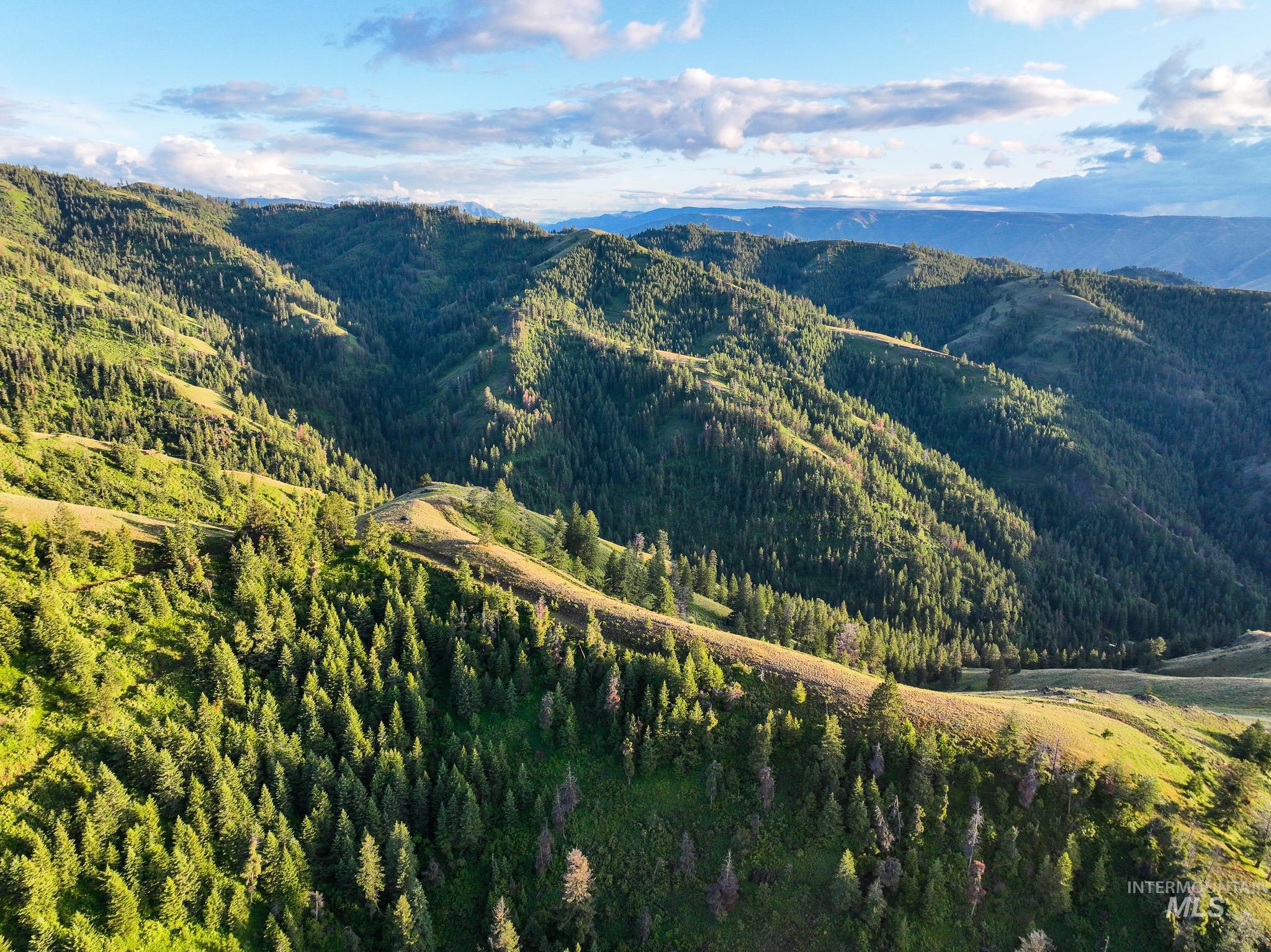 TBD High Range Road, White Bird, Idaho 83554, Land For Sale, Price $497,000,MLS 98929125