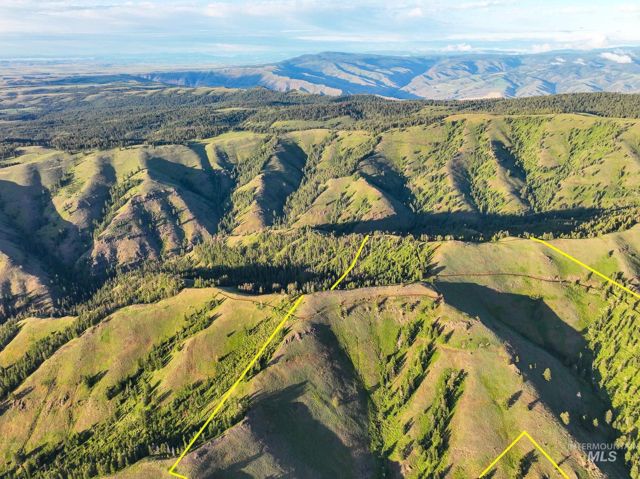 TBD High Range Road, White Bird, Idaho 83554, Land For Sale, Price $497,000,MLS 98929125