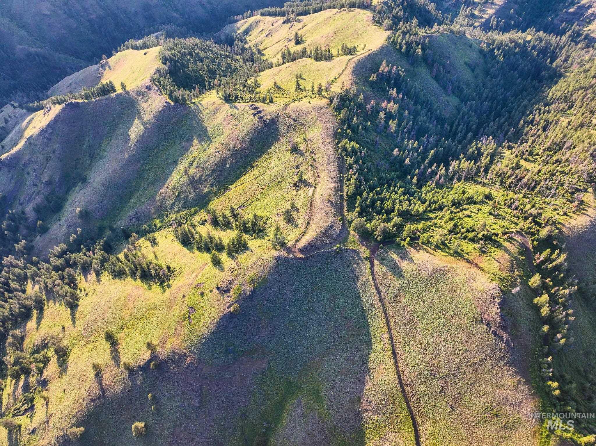 TBD High Range Road, White Bird, Idaho 83554, Land For Sale, Price $497,000,MLS 98929125