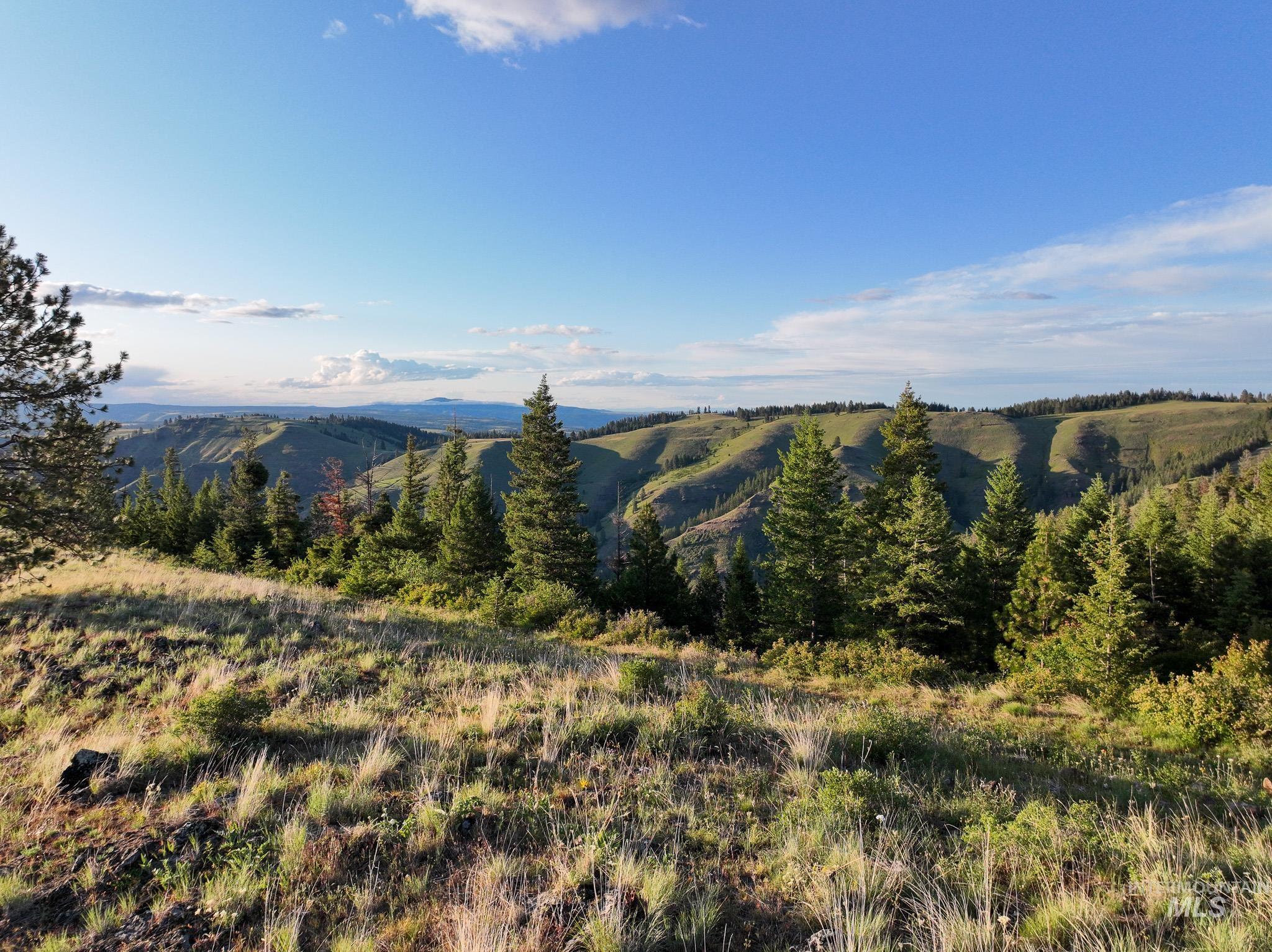 TBD High Range Road, White Bird, Idaho 83554, Land For Sale, Price $497,000,MLS 98929125