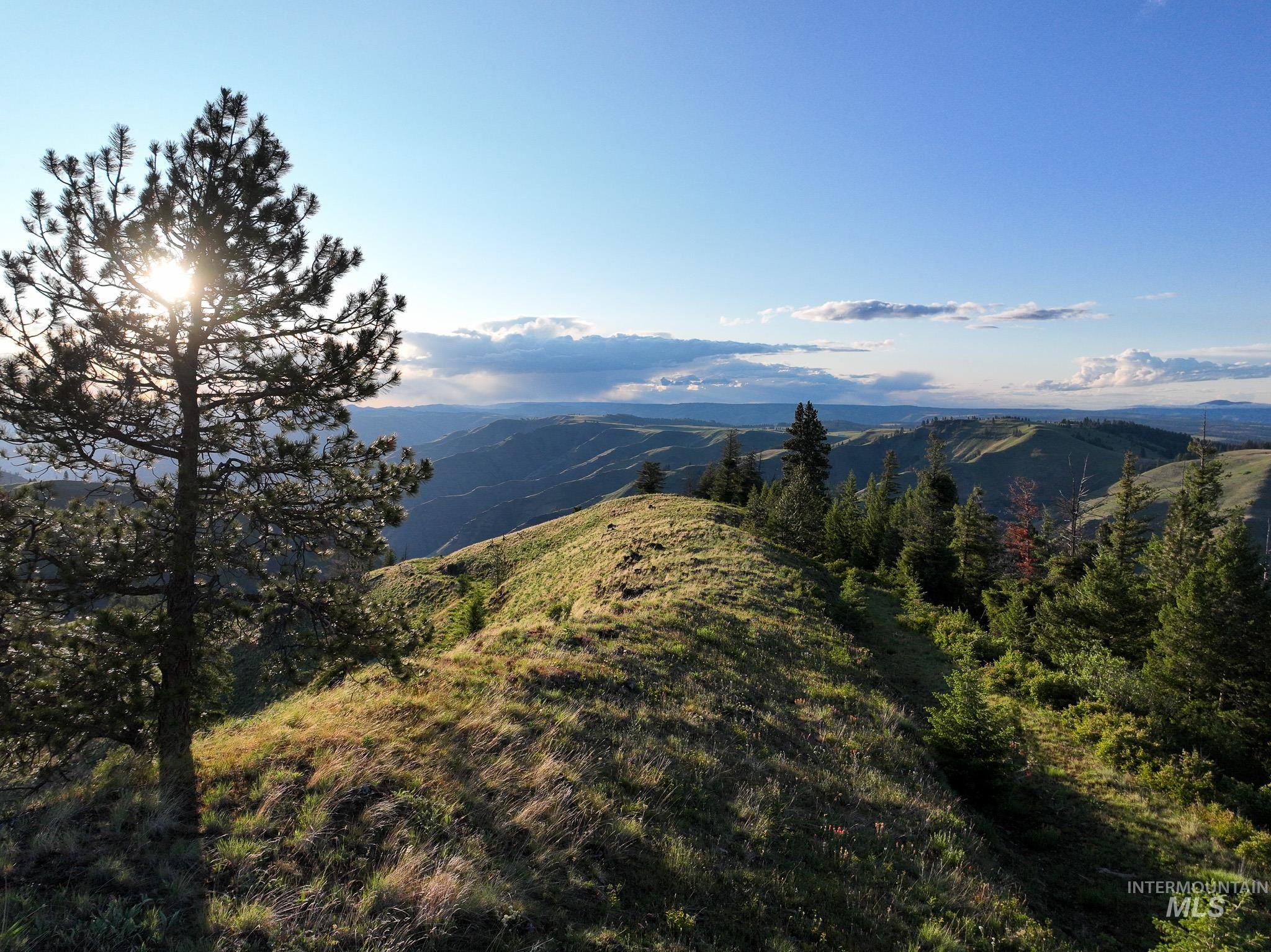 TBD High Range Road, White Bird, Idaho 83554, Land For Sale, Price $497,000,MLS 98929125