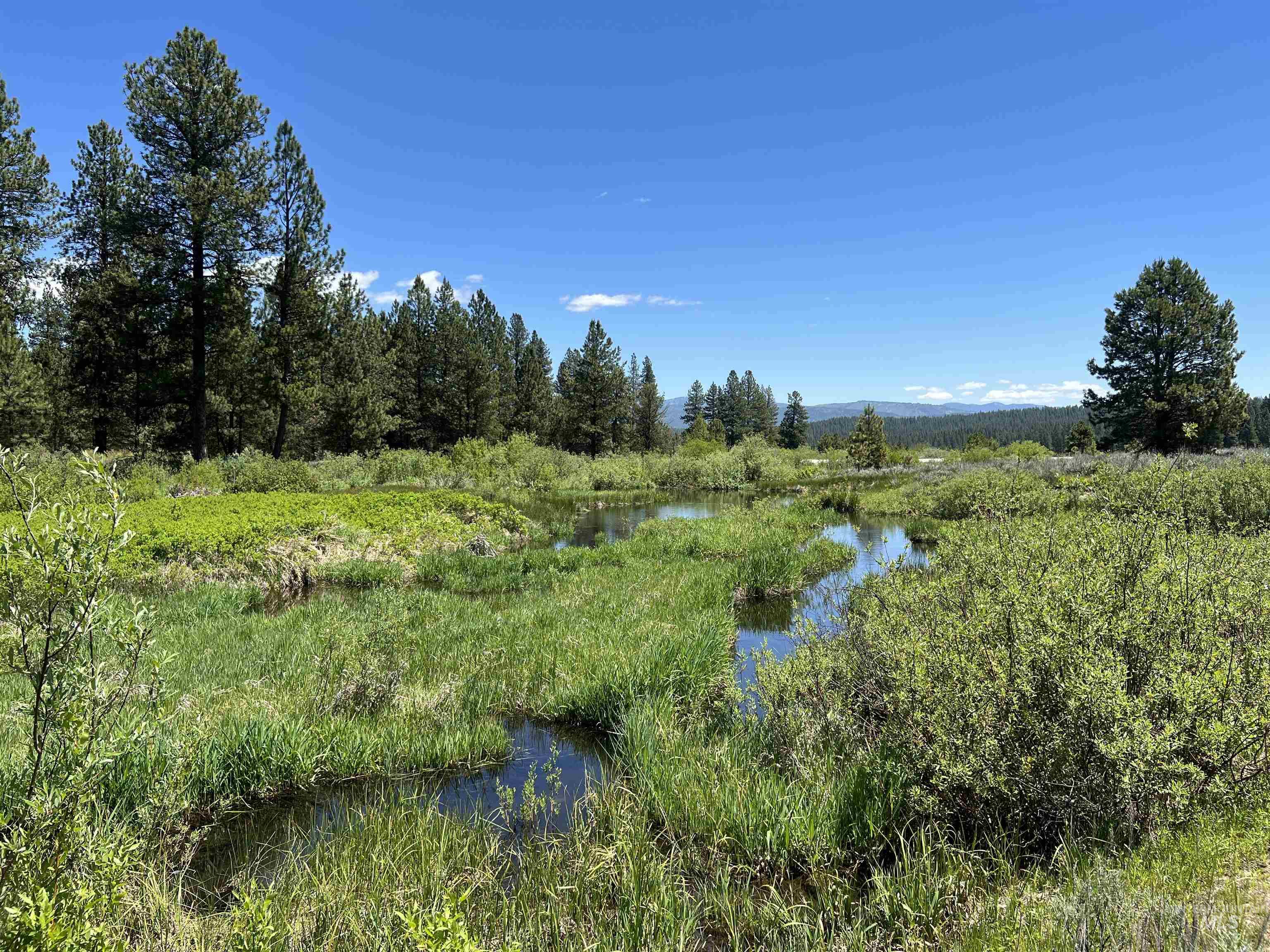 Lot 3 Star Creek Ct, Placerville, Idaho 83666, Land For Sale, Price $175,000,MLS 98930167