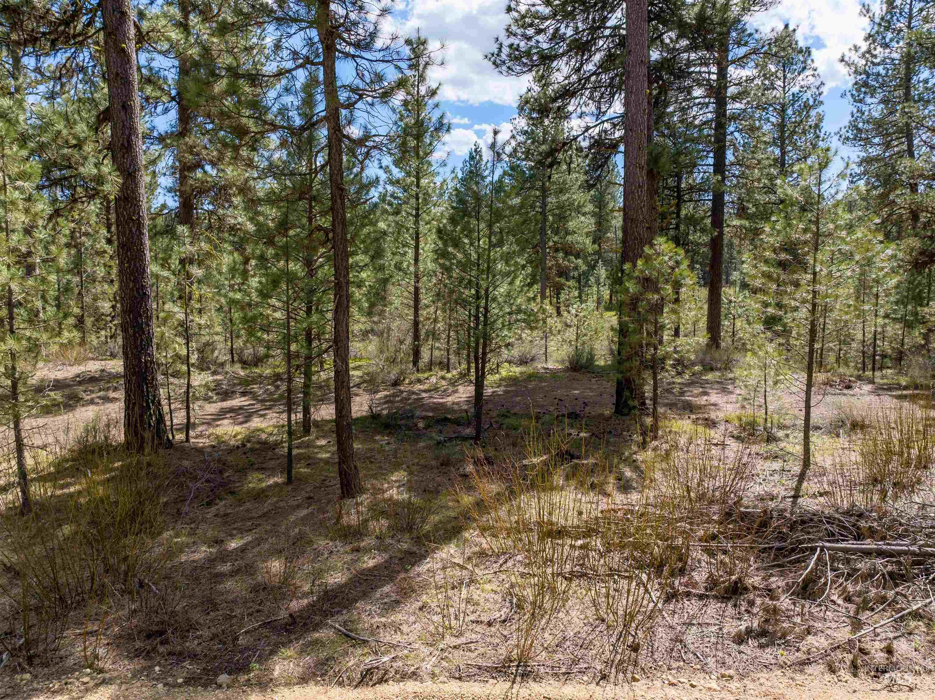 Lot 3 Star Creek Ct, Placerville, Idaho 83666, Land For Sale, Price $175,000,MLS 98930167