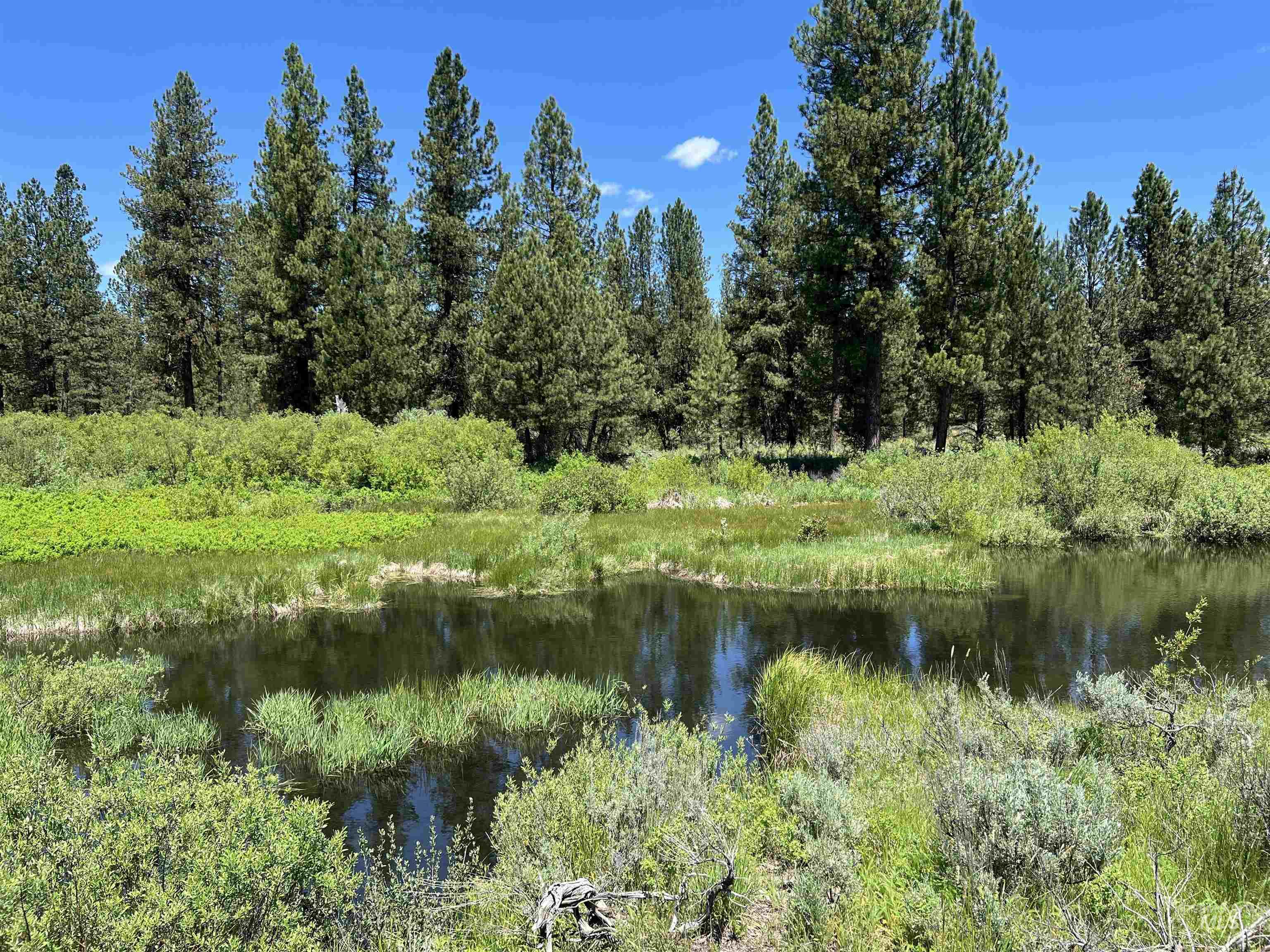 Lot 3 Star Creek Ct, Placerville, Idaho 83666, Land For Sale, Price $175,000,MLS 98930167