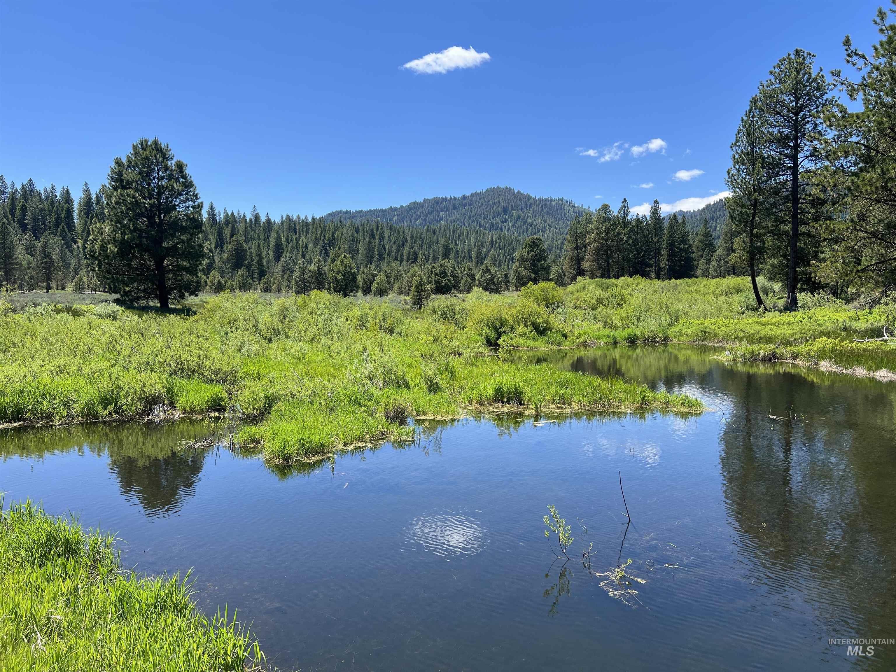 Lot 5 Star Creek Ct, Placerville, Idaho 83666, Land For Sale, Price $195,000,MLS 98930172