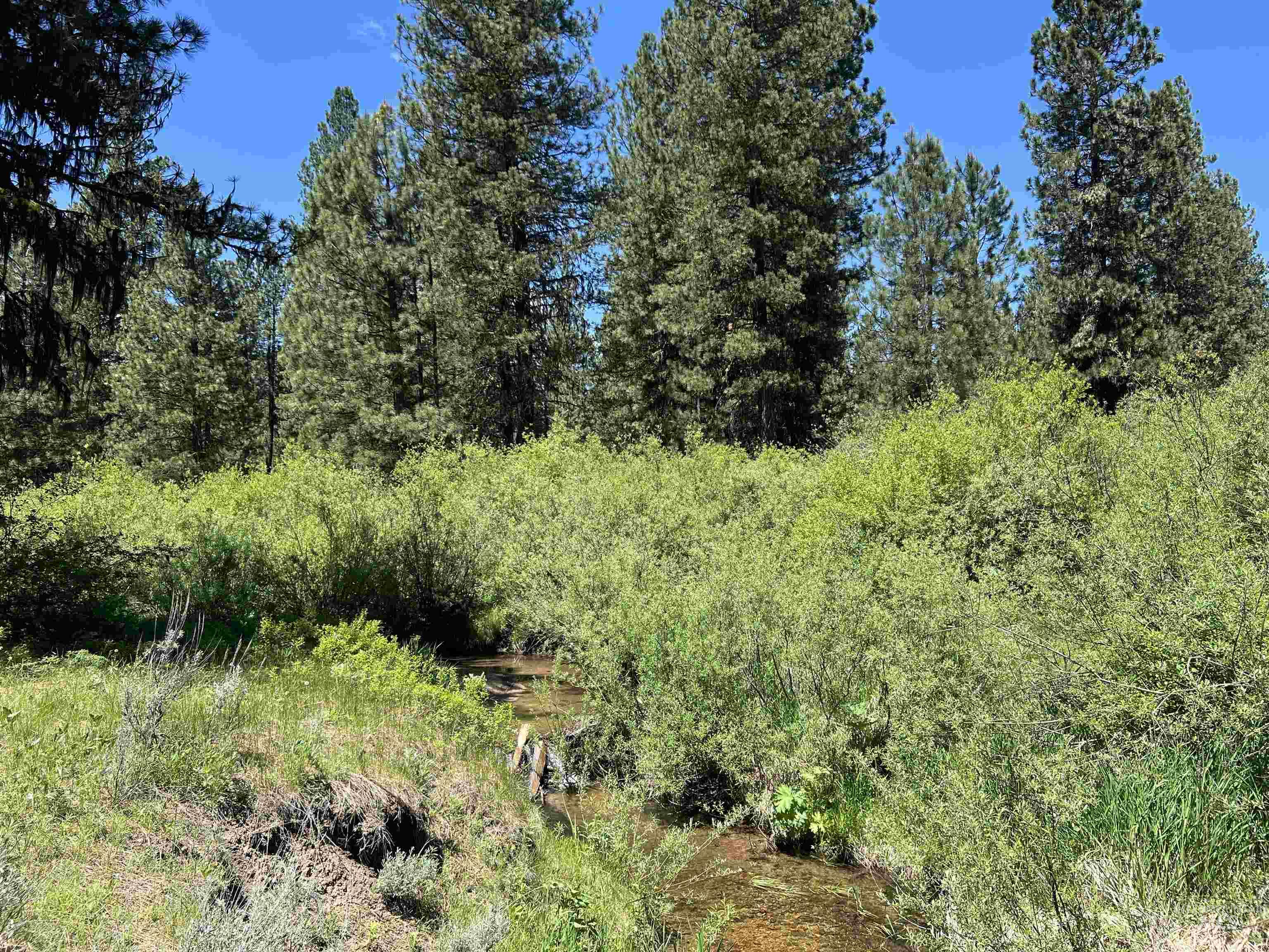 Lot 5 Star Creek Ct, Placerville, Idaho 83666, Land For Sale, Price $195,000,MLS 98930172