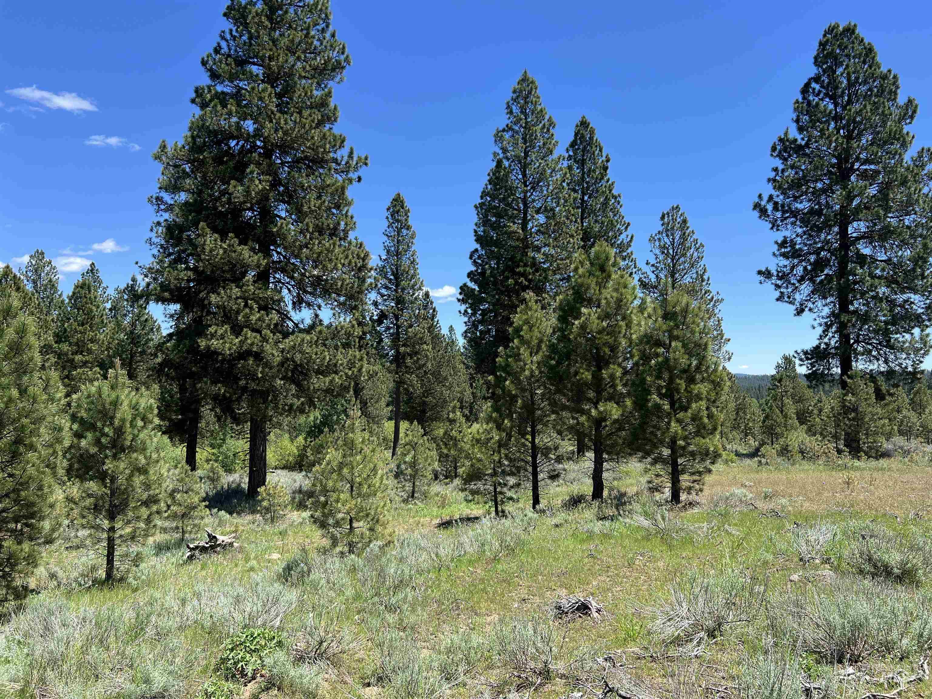 Lot 5 Star Creek Ct, Placerville, Idaho 83666, Land For Sale, Price $195,000,MLS 98930172