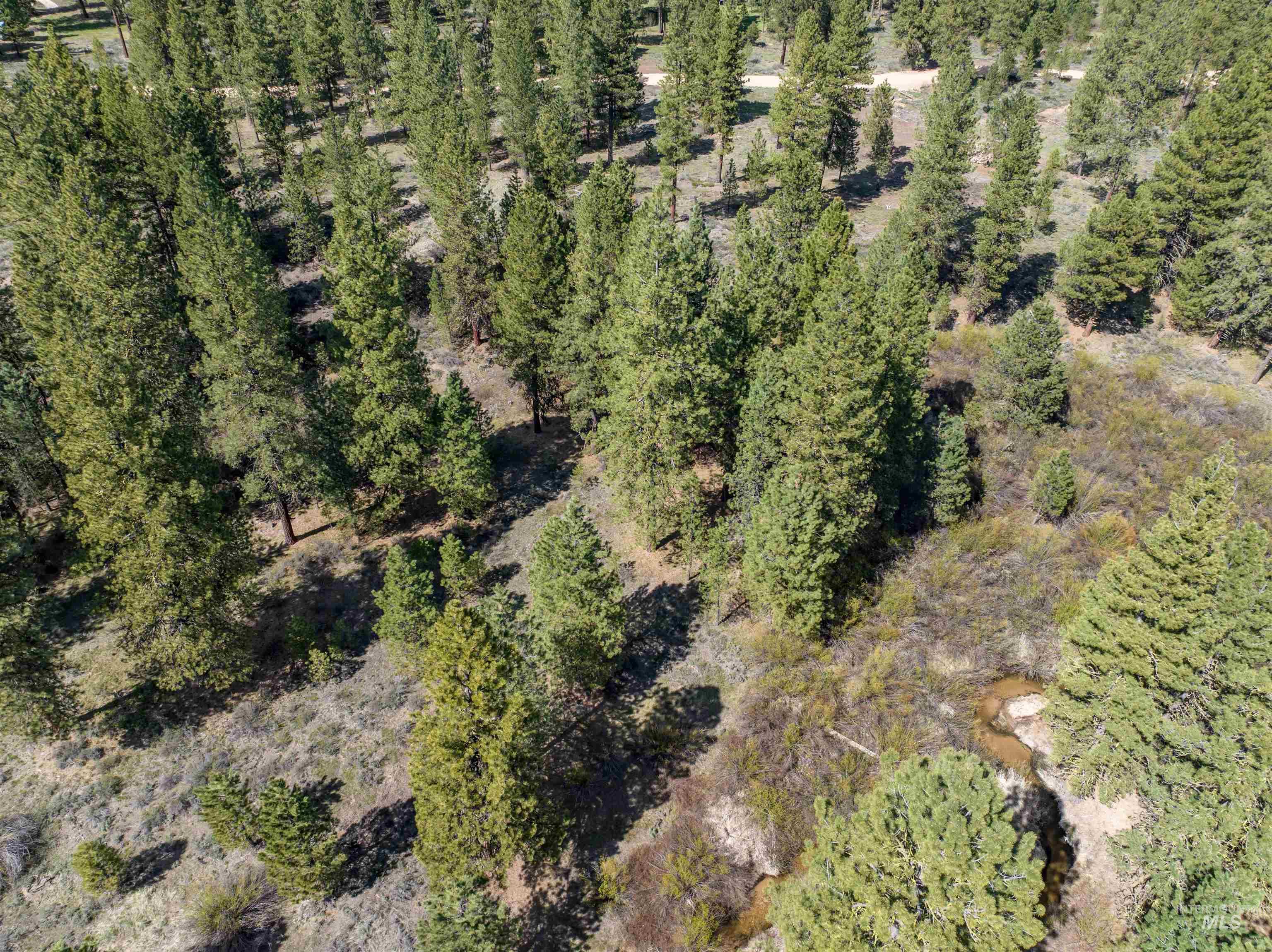 Lot 5 Star Creek Ct, Placerville, Idaho 83666, Land For Sale, Price $195,000,MLS 98930172