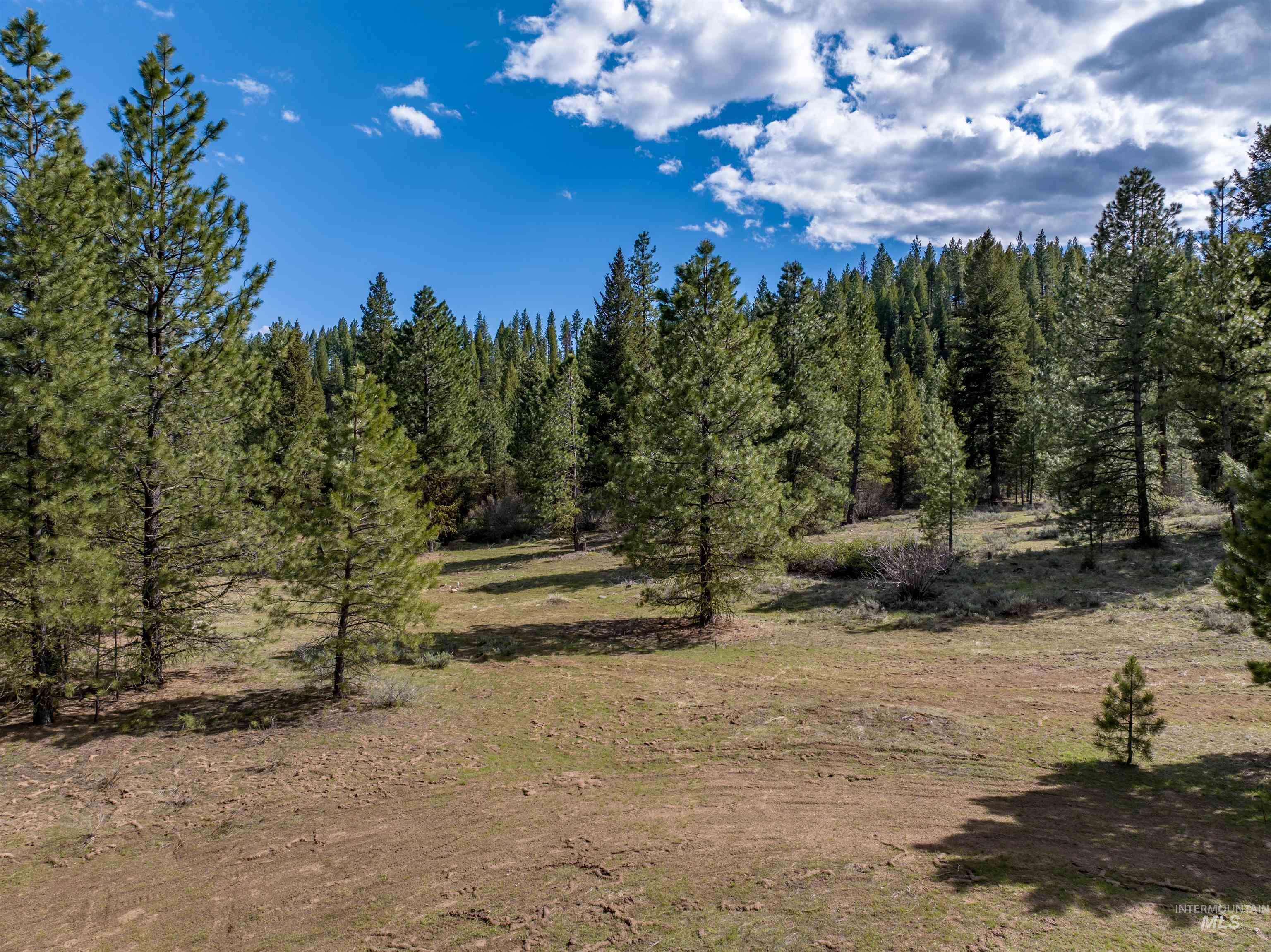 Lot 12 Star Creek Ct, Placerville, Idaho 83636-6, Land For Sale, Price $225,000,MLS 98930173