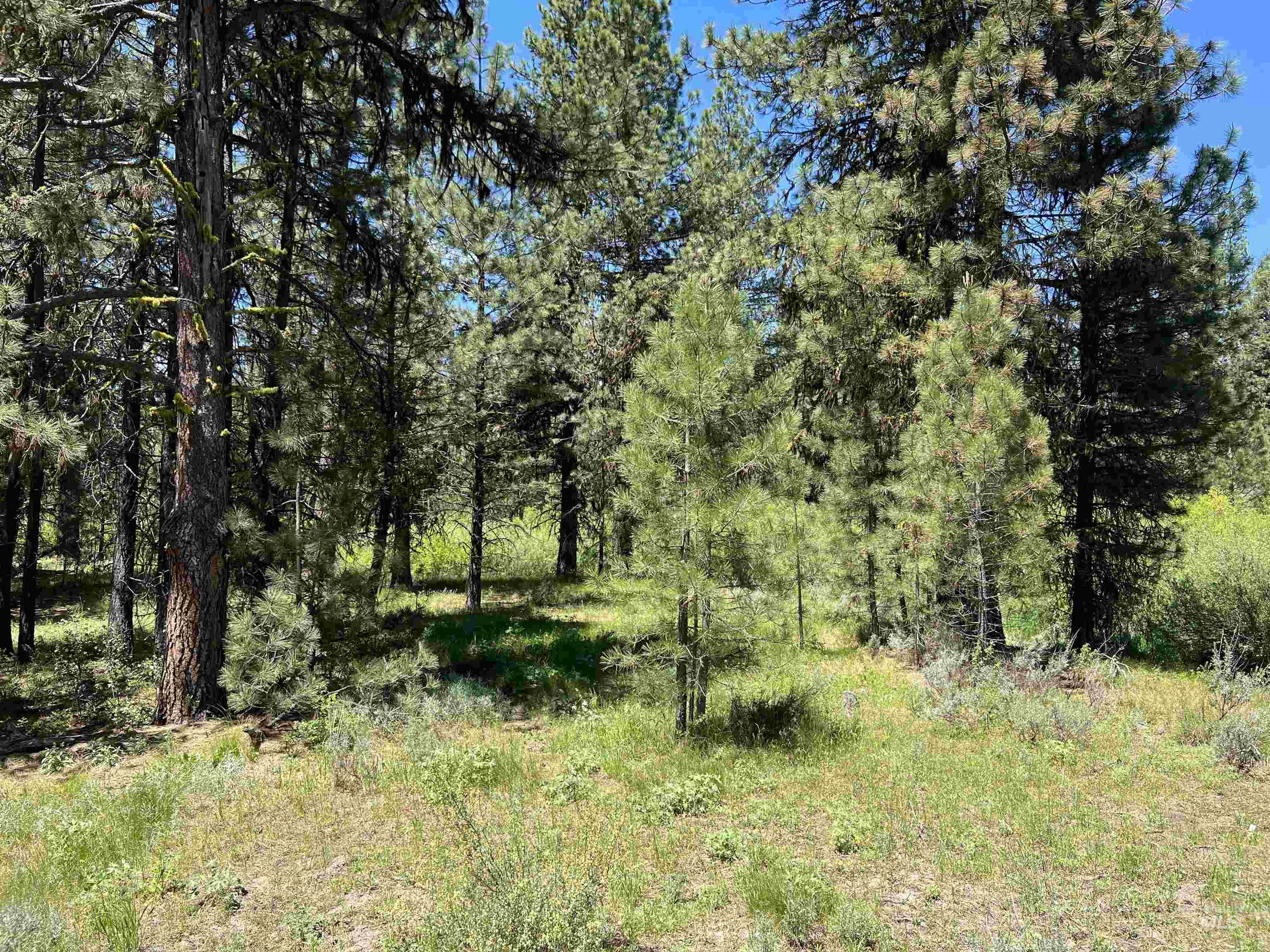 Lot 12 Star Creek Ct, Placerville, Idaho 83636-6, Land For Sale, Price $225,000,MLS 98930173