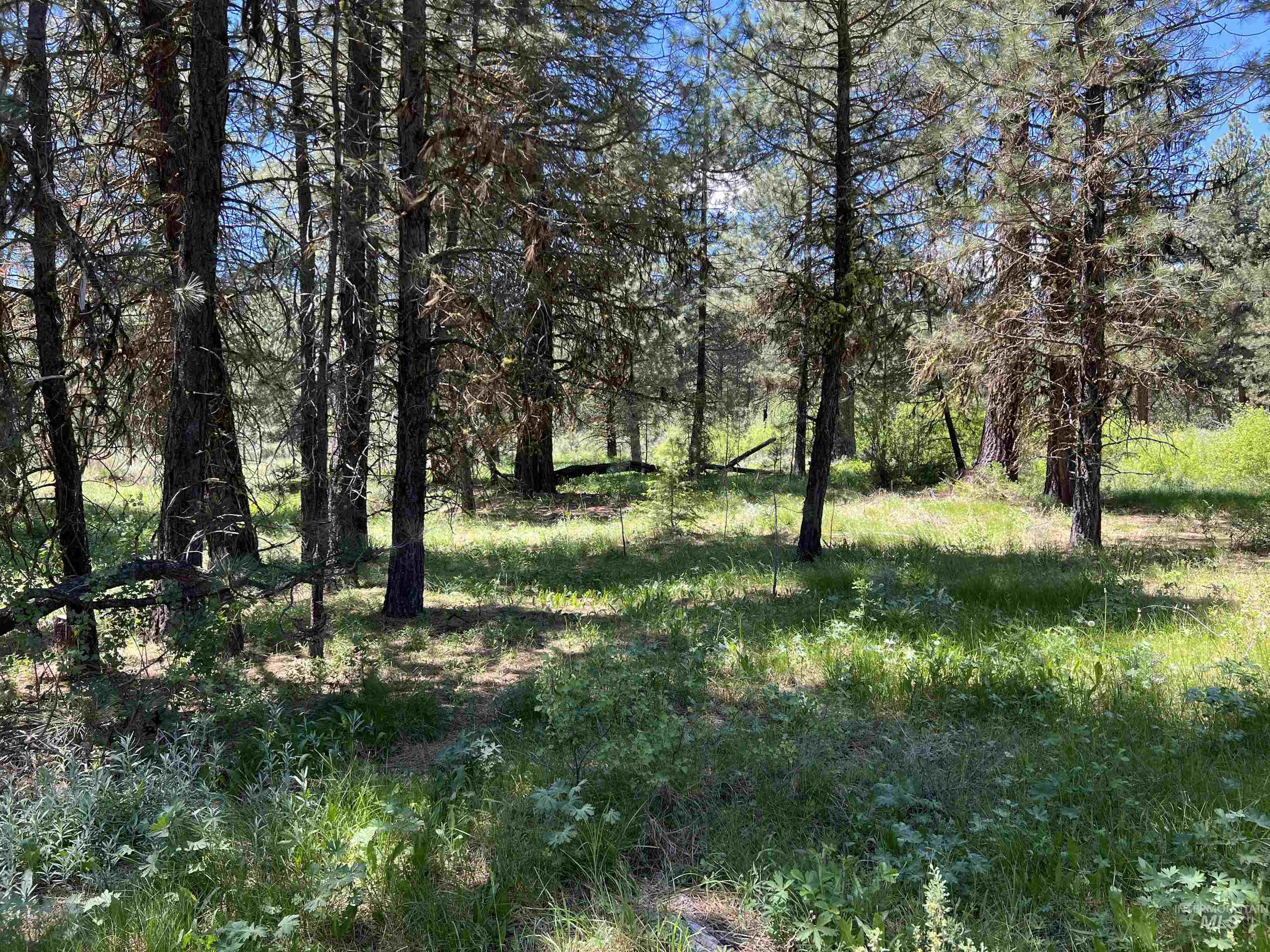 Lot 12 Star Creek Ct, Placerville, Idaho 83636-6, Land For Sale, Price $225,000,MLS 98930173