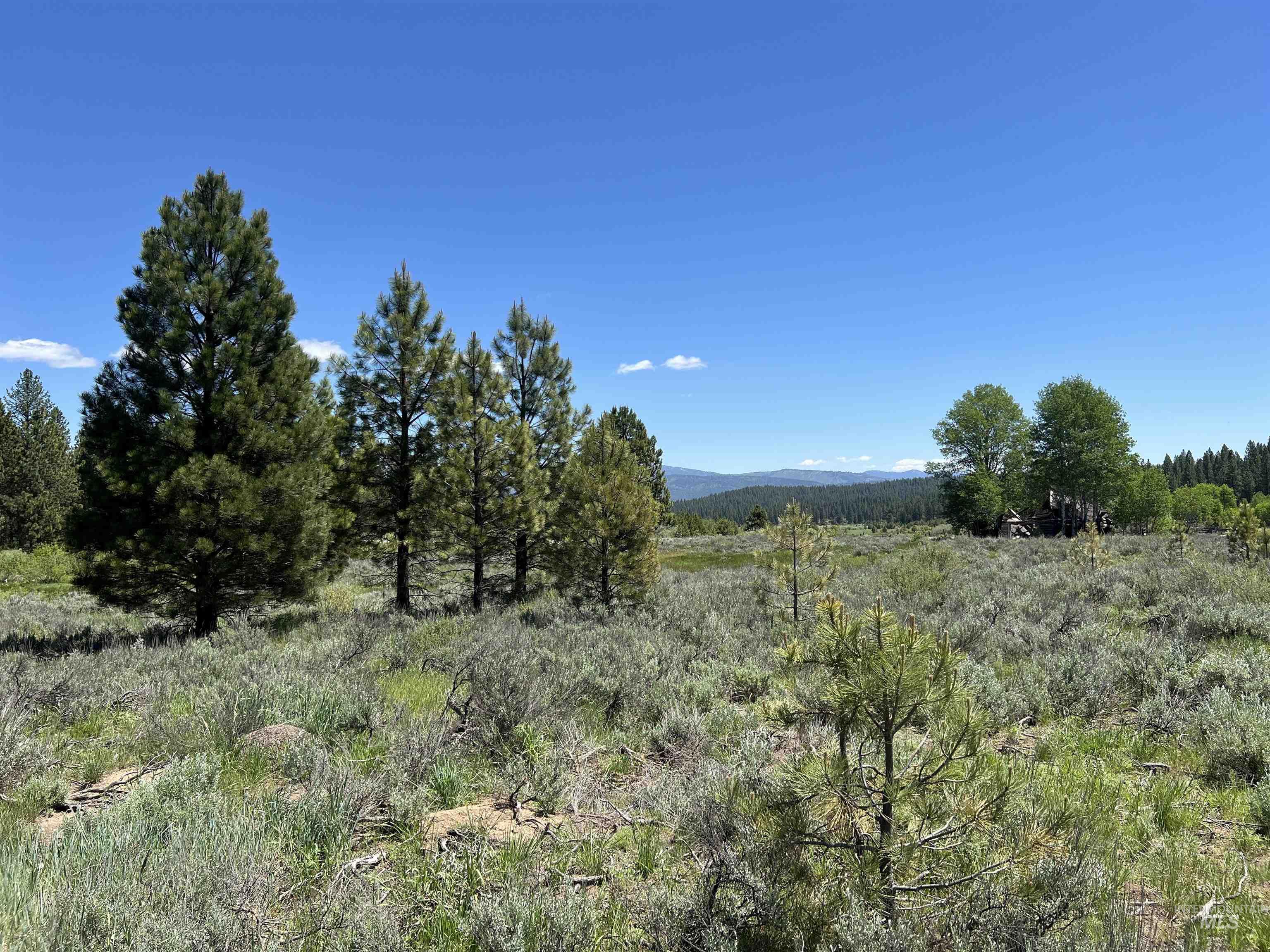 Lot 12 Star Creek Ct, Placerville, Idaho 83636-6, Land For Sale, Price $225,000,MLS 98930173